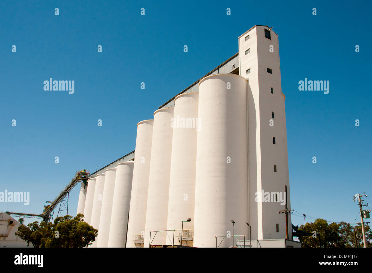 Concrete Wheat Silos Tammin Western Australia Stock Photo Alamy