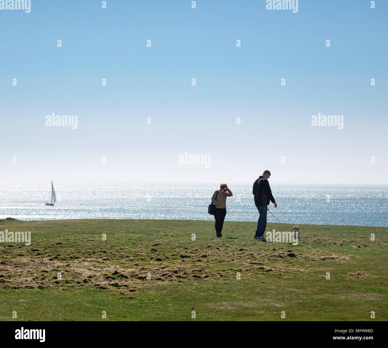 People walking dog at Sound, view toward sea with distant sailing boat Stock Photo