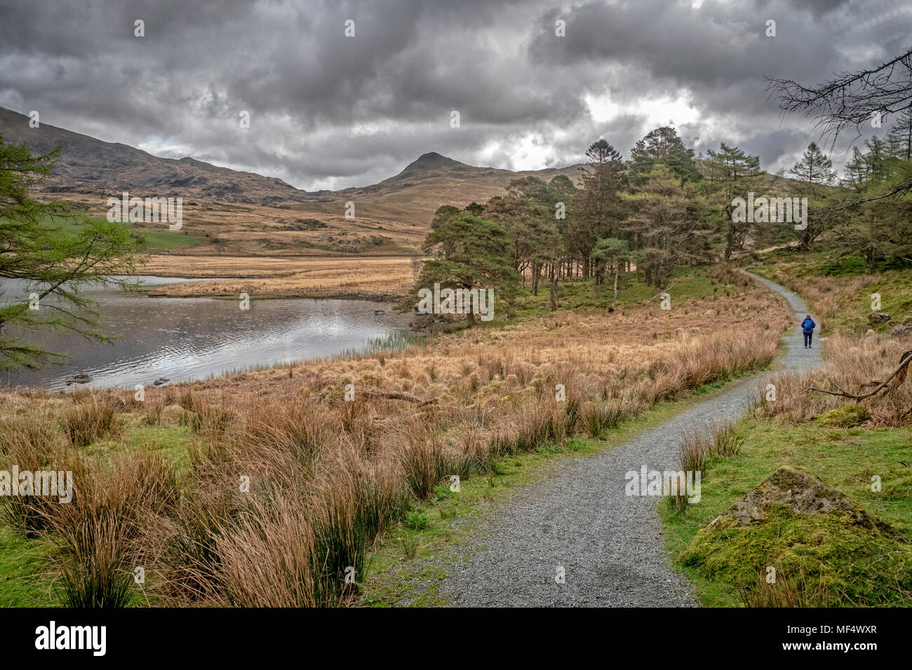 Beddgelert to Rhyd Ddu Path A gentle wooded walk with panoramic views