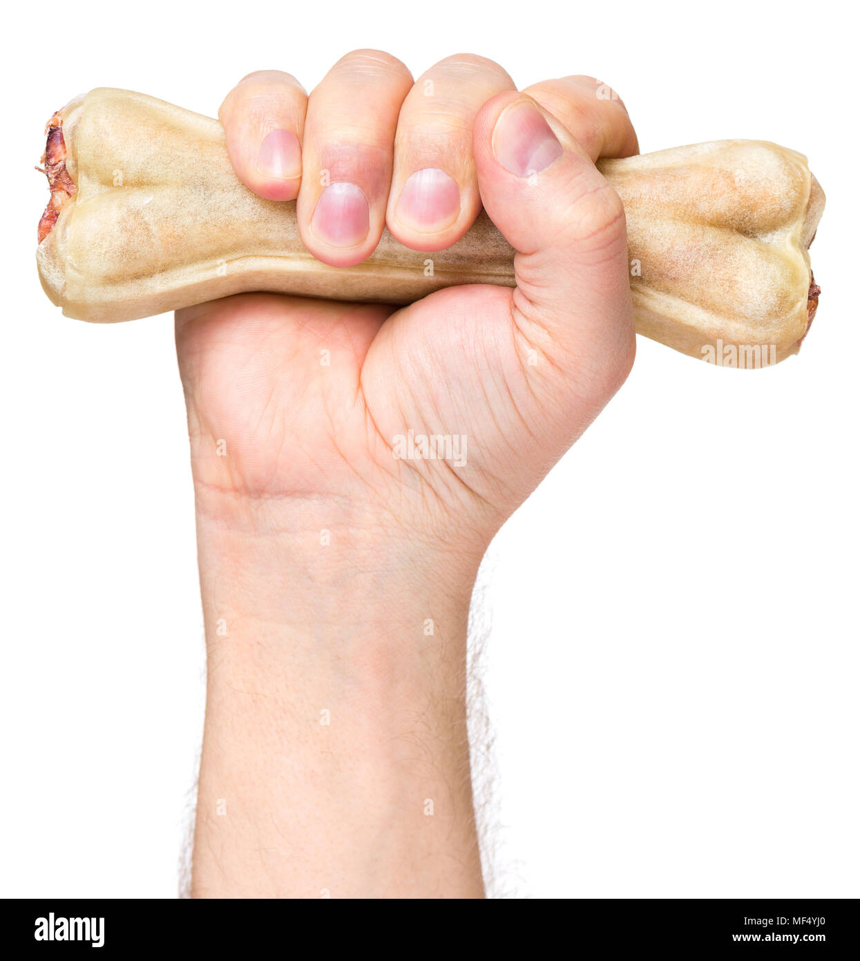 Hand with dog bone Stock Photo - Alamy