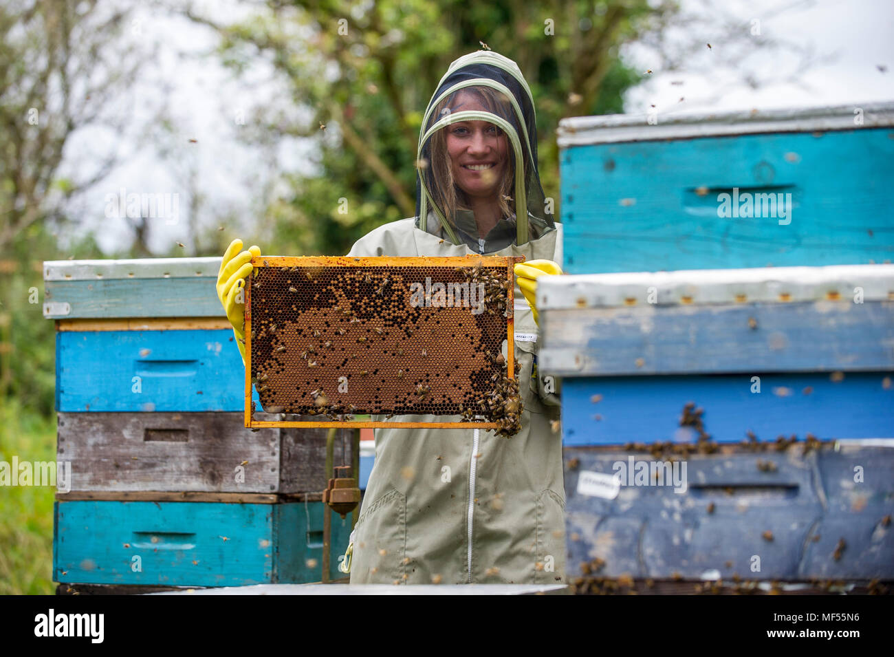 Female Bee Keeper High Resolution Stock Photography and Images - Alamy