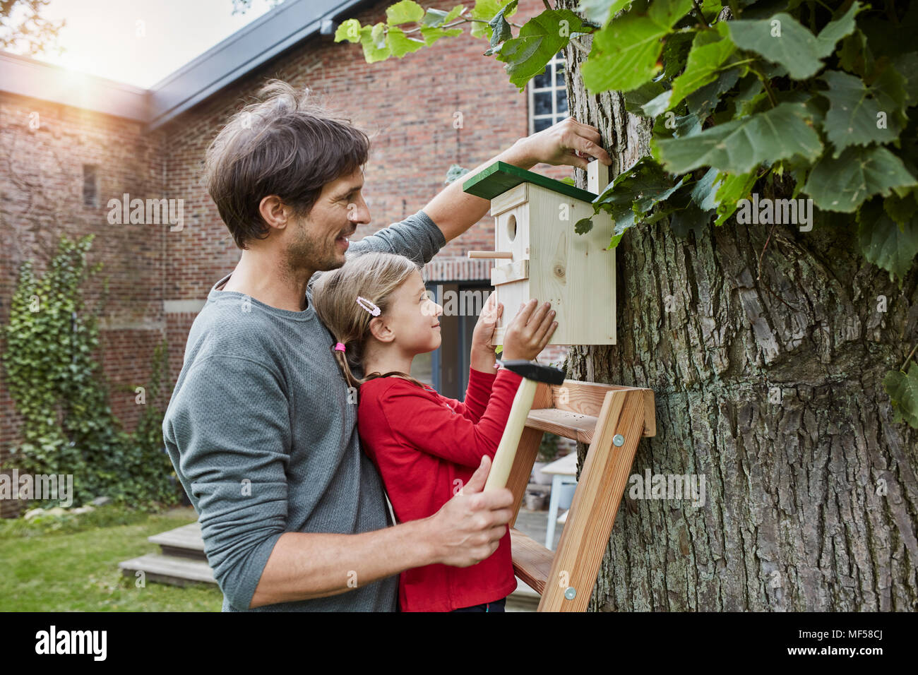 Father and daughter hanging up nest box in garden Stock Photo
