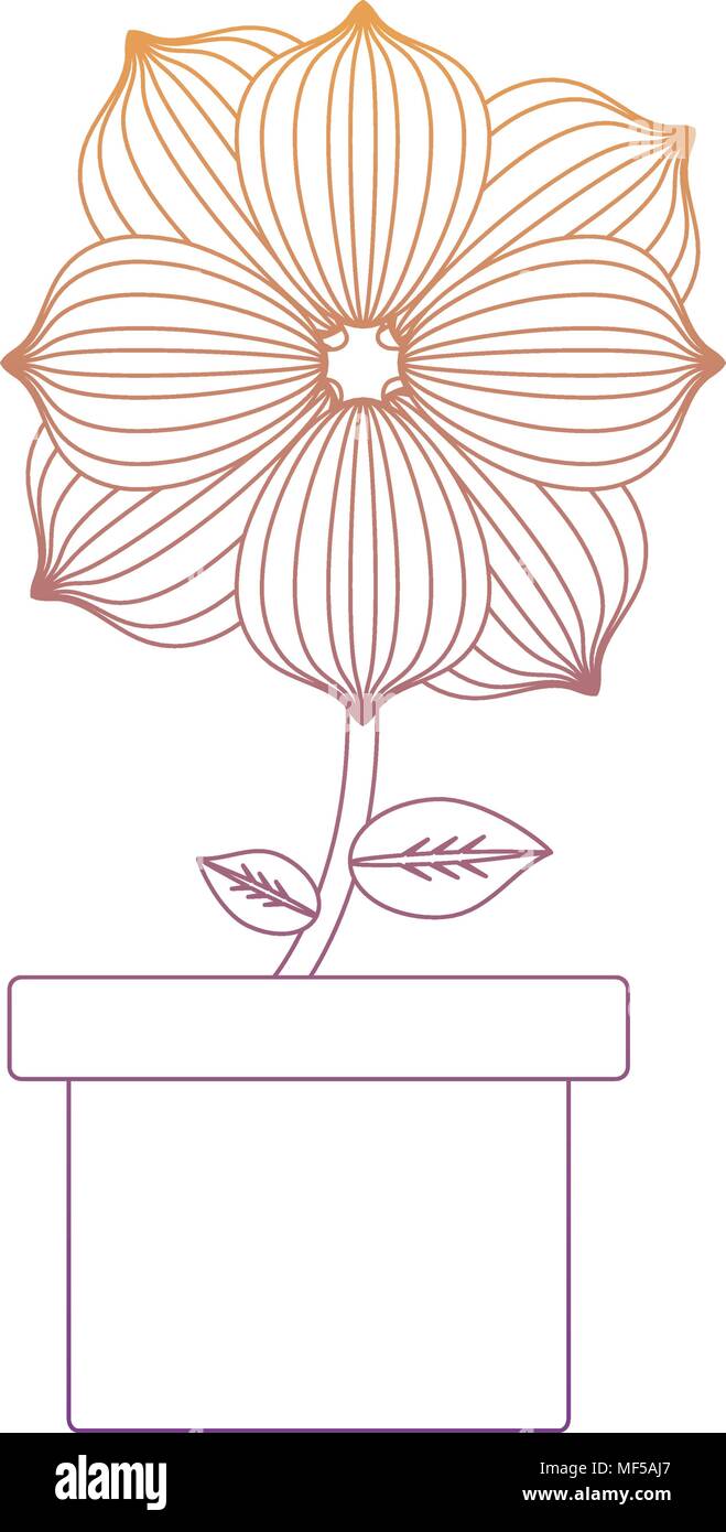 flower plant in a pot over white background, colorful line design ...