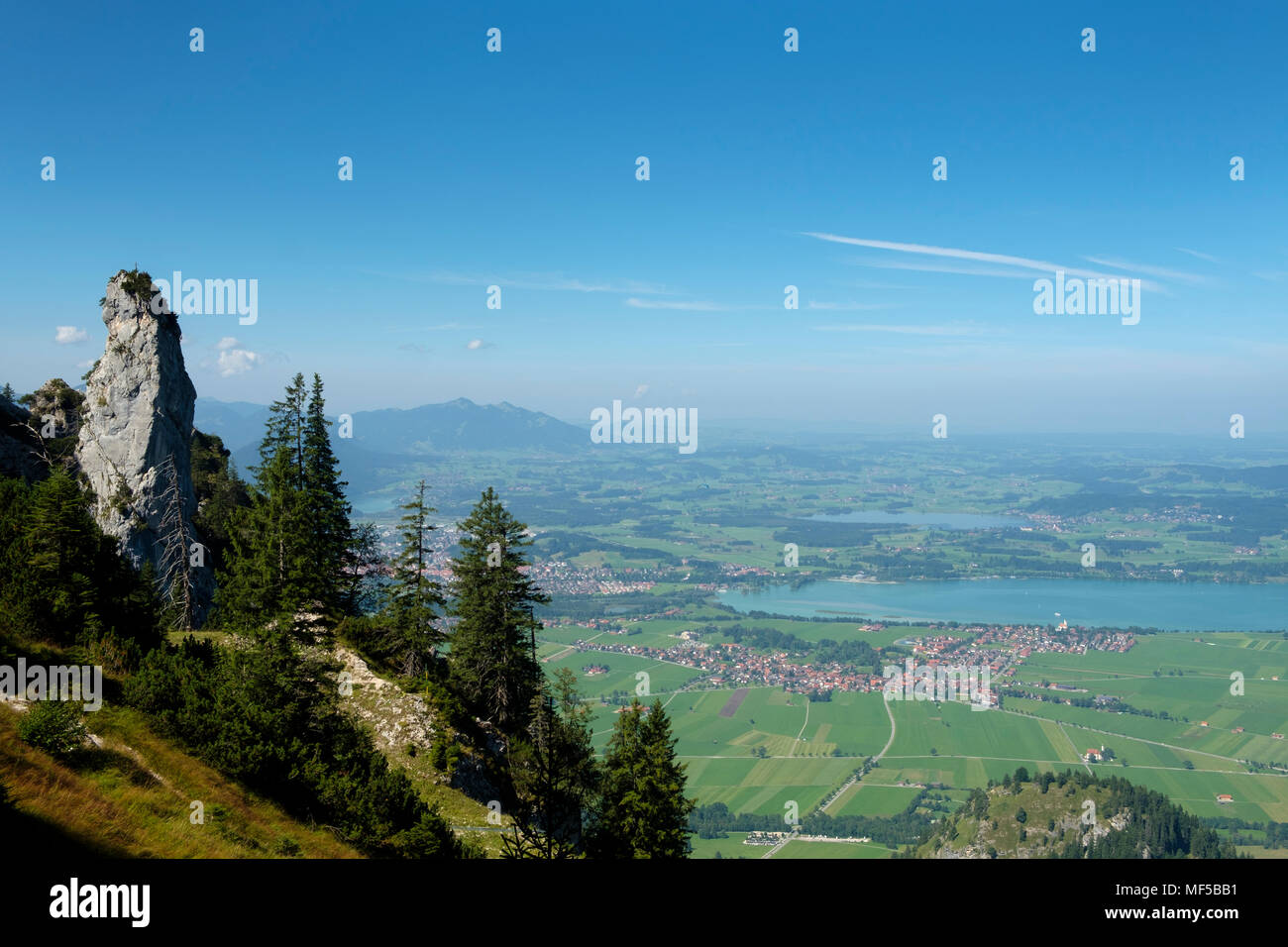 Ausblick am Tegelberg, mit  Gelber Wand Schrofen, und Forggensee, Ostallgäu, Allgäu, Schwaben, Bayern, Deutschland, Stock Photo