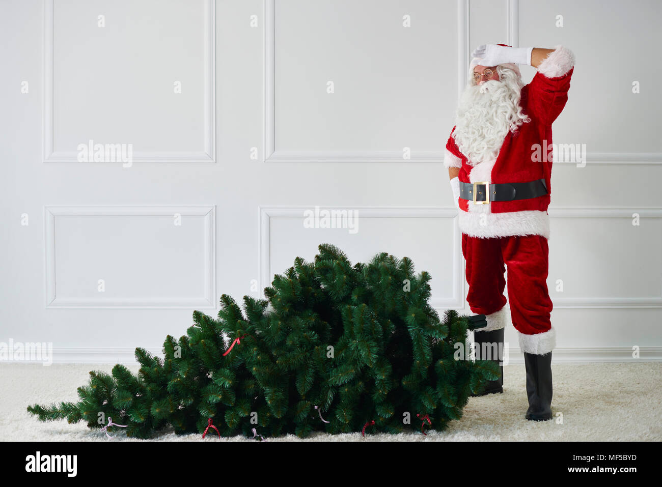 Santa Claus with Christmas tree Stock Photo