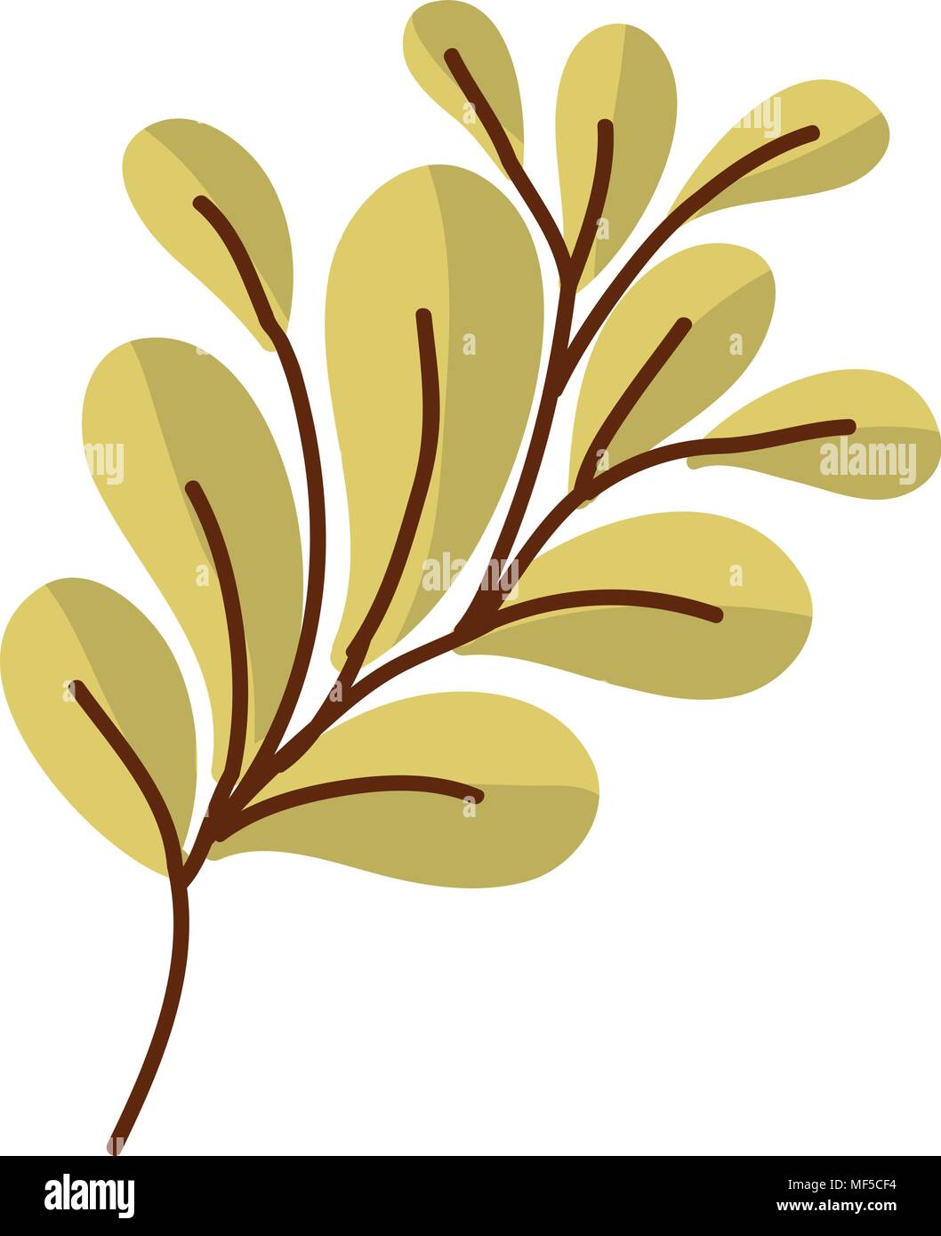 exotic plant style with branch leaves Stock Vector Image & Art Alamy