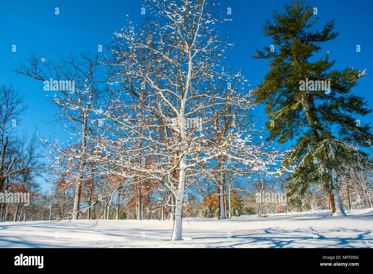 Winter in New England Stock Photo - Alamy