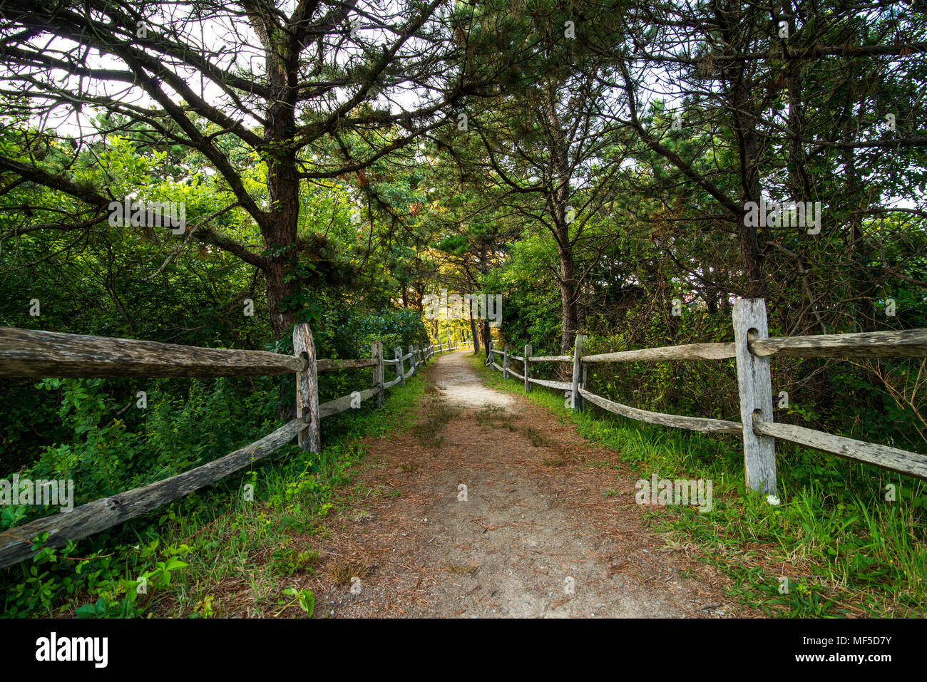 New england fall colors trees hi-res stock photography and images - Alamy