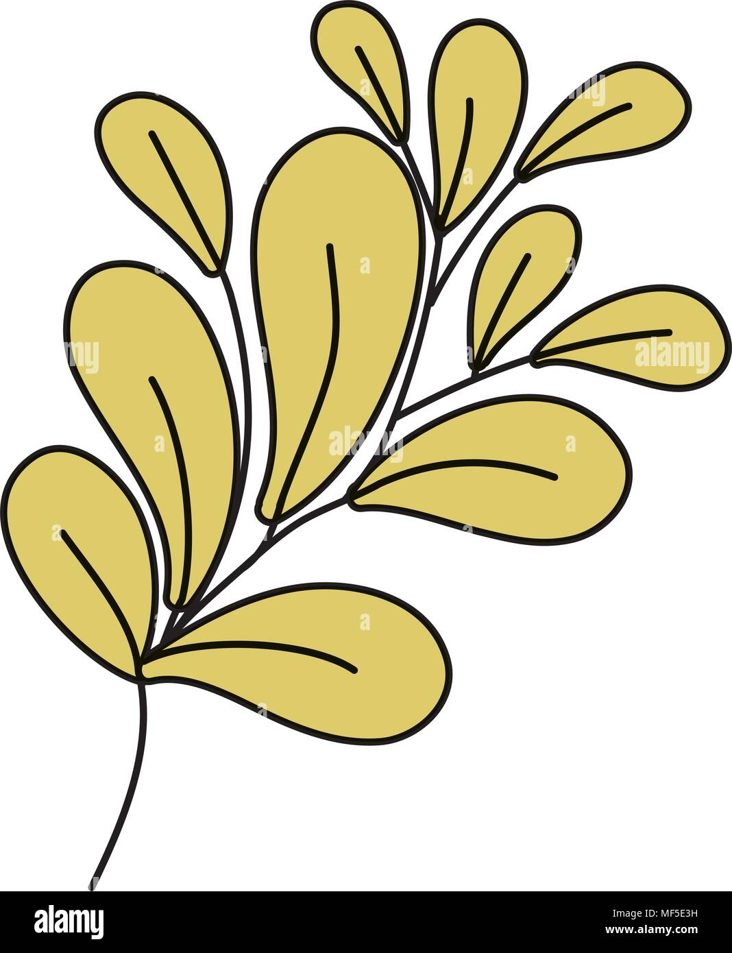 color exotic plant style with branch leaves Stock Vector Image & Art