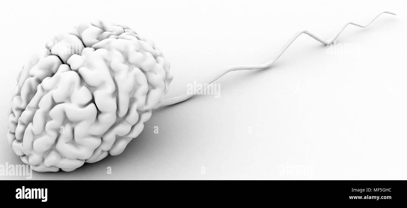 White 3d human brain and spinal cord model Stock Photo