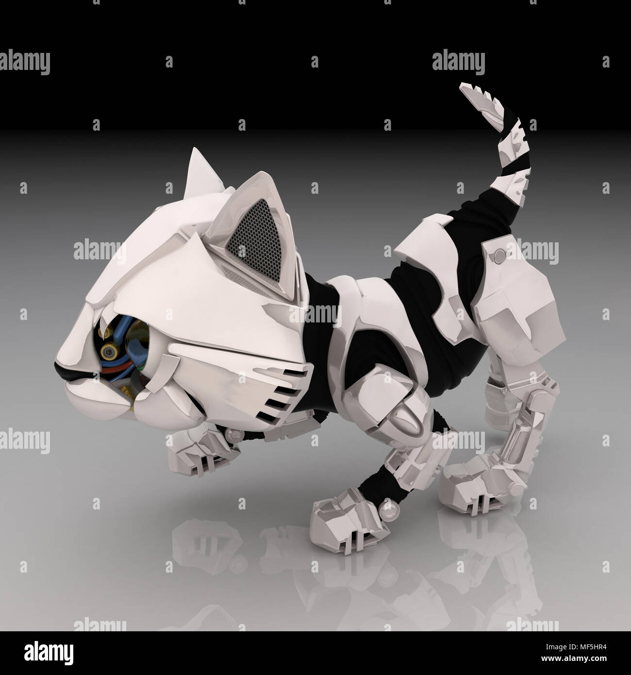 Robot cat hi-res stock photography and images - Alamy