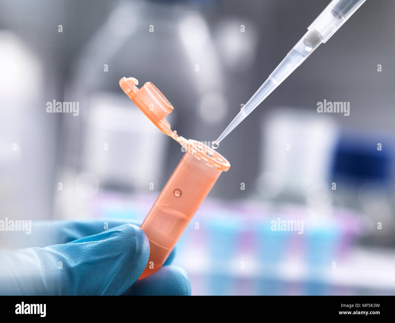 Scientist pipetting a sample into a eppendorf tube Stock Photo