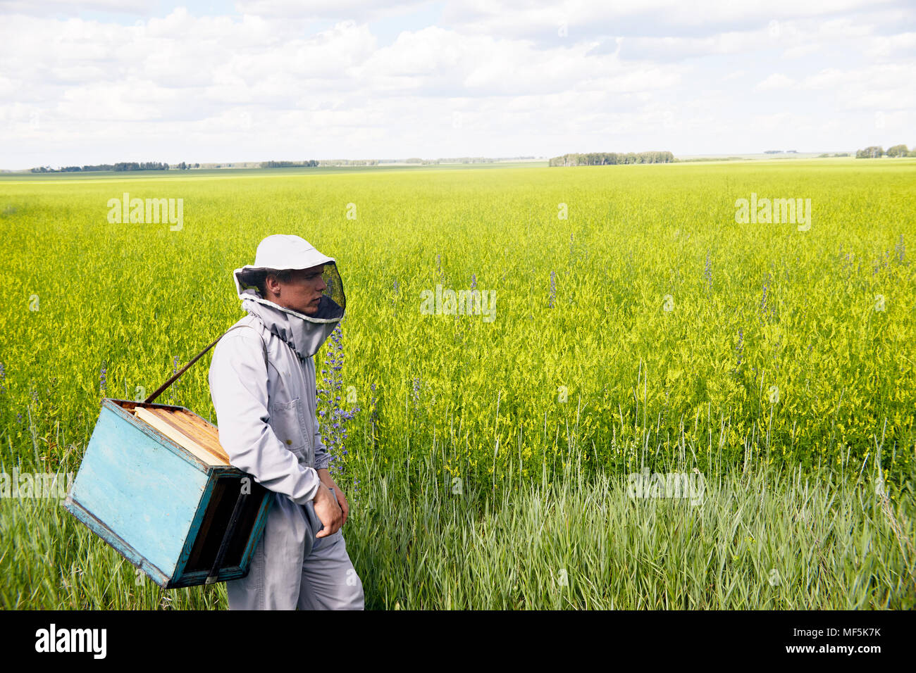 Wide Angle Apiarist in Meadow Stock Photo