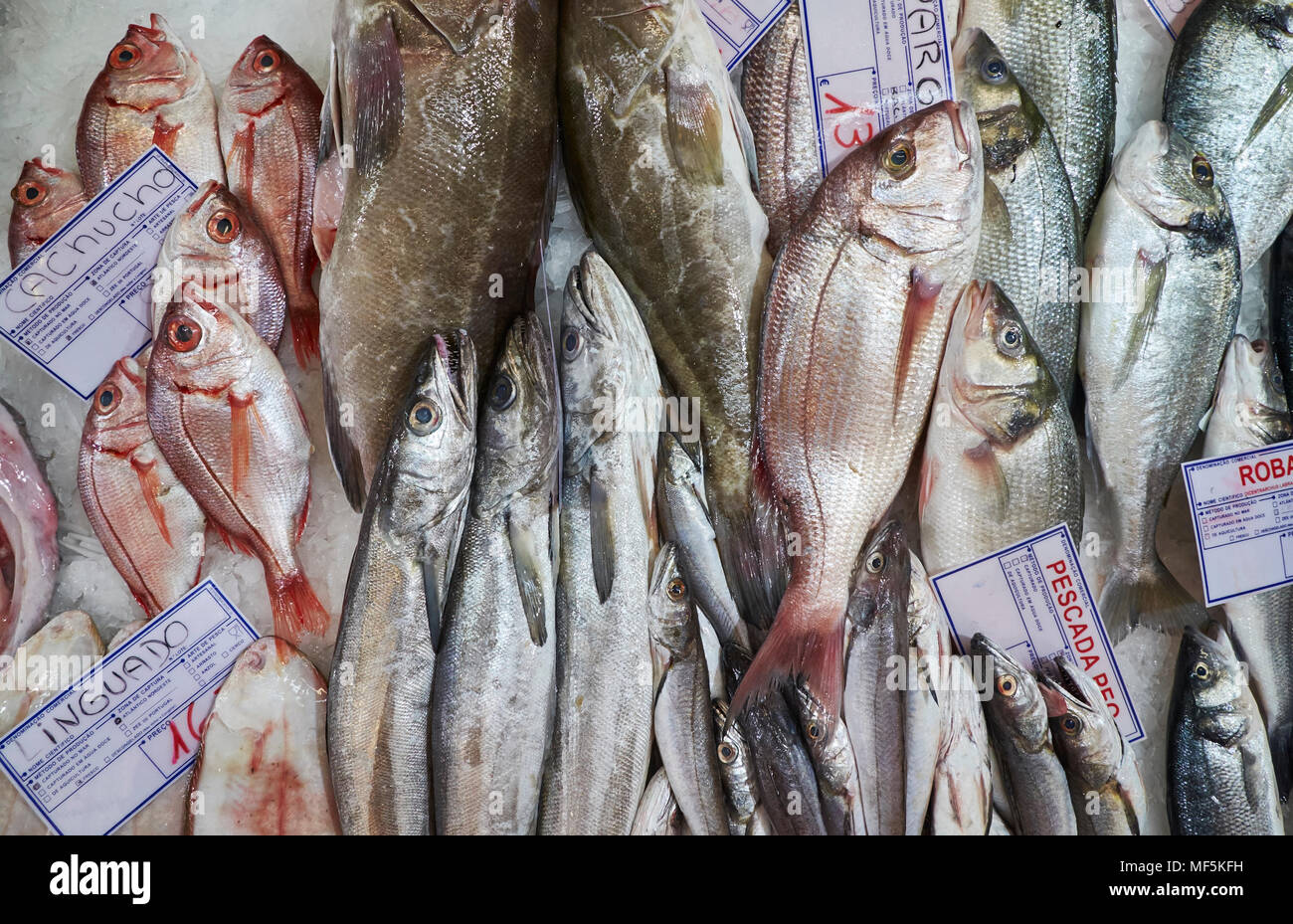 Portugal, Lisbon, fresh fish Stock Photo Alamy