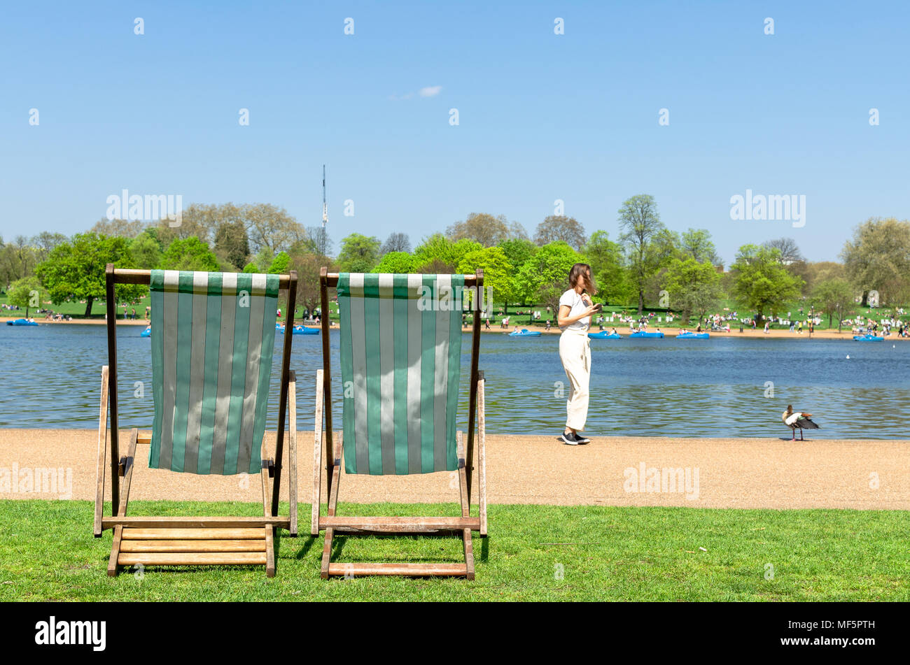 Park with deck chairs hi-res stock photography and images - Alamy