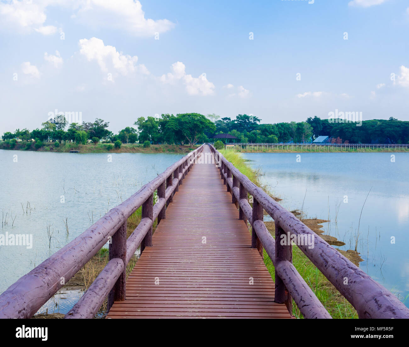 Swamp Walk Way Wooden Bridge Walkway in The Swamp Landscape Head to The Park with Blue ...