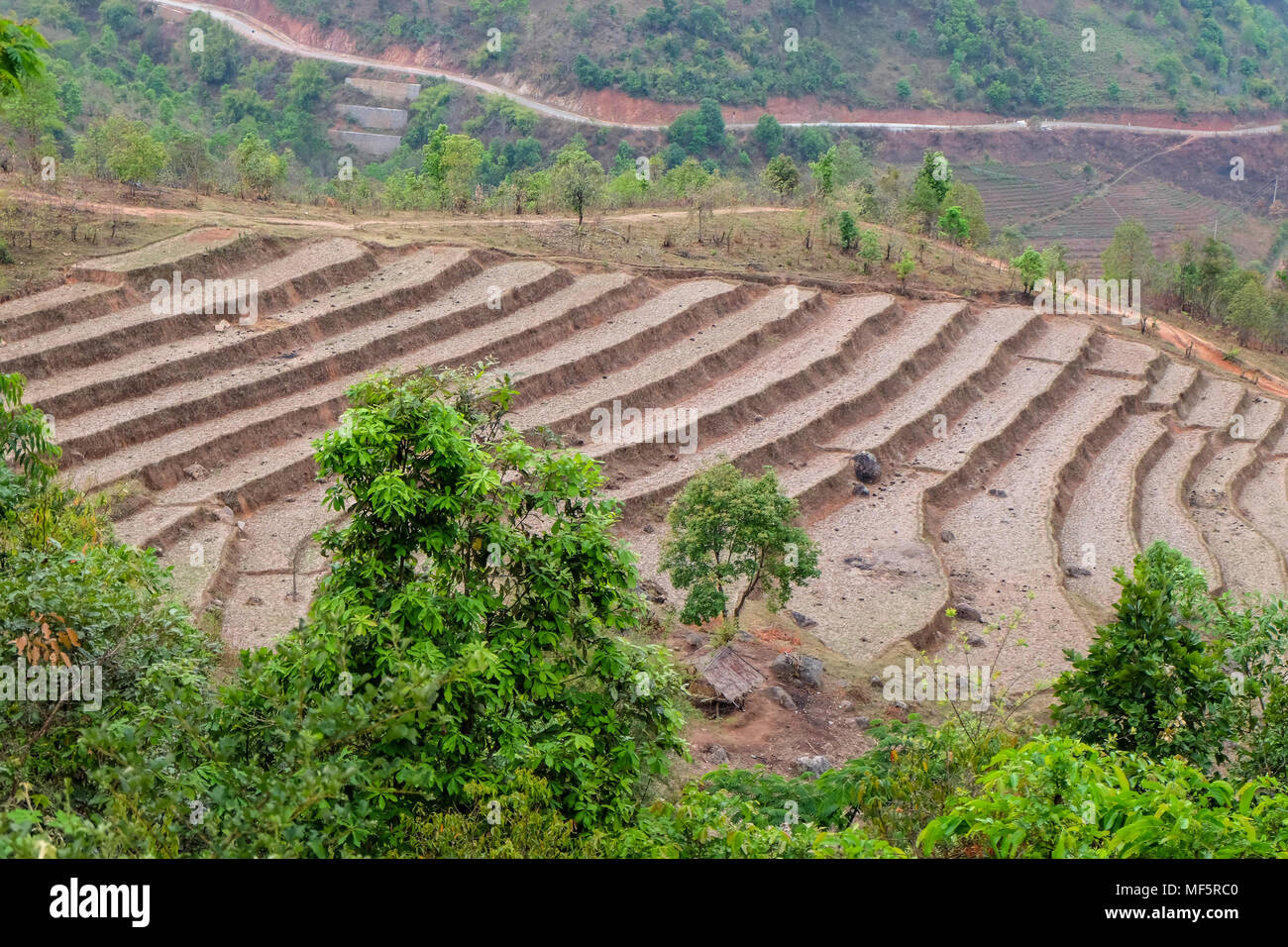 Myanmar Rural Rice Rice terraces ready for planting in Shan State, Myanmar Stock Photo - Alamy