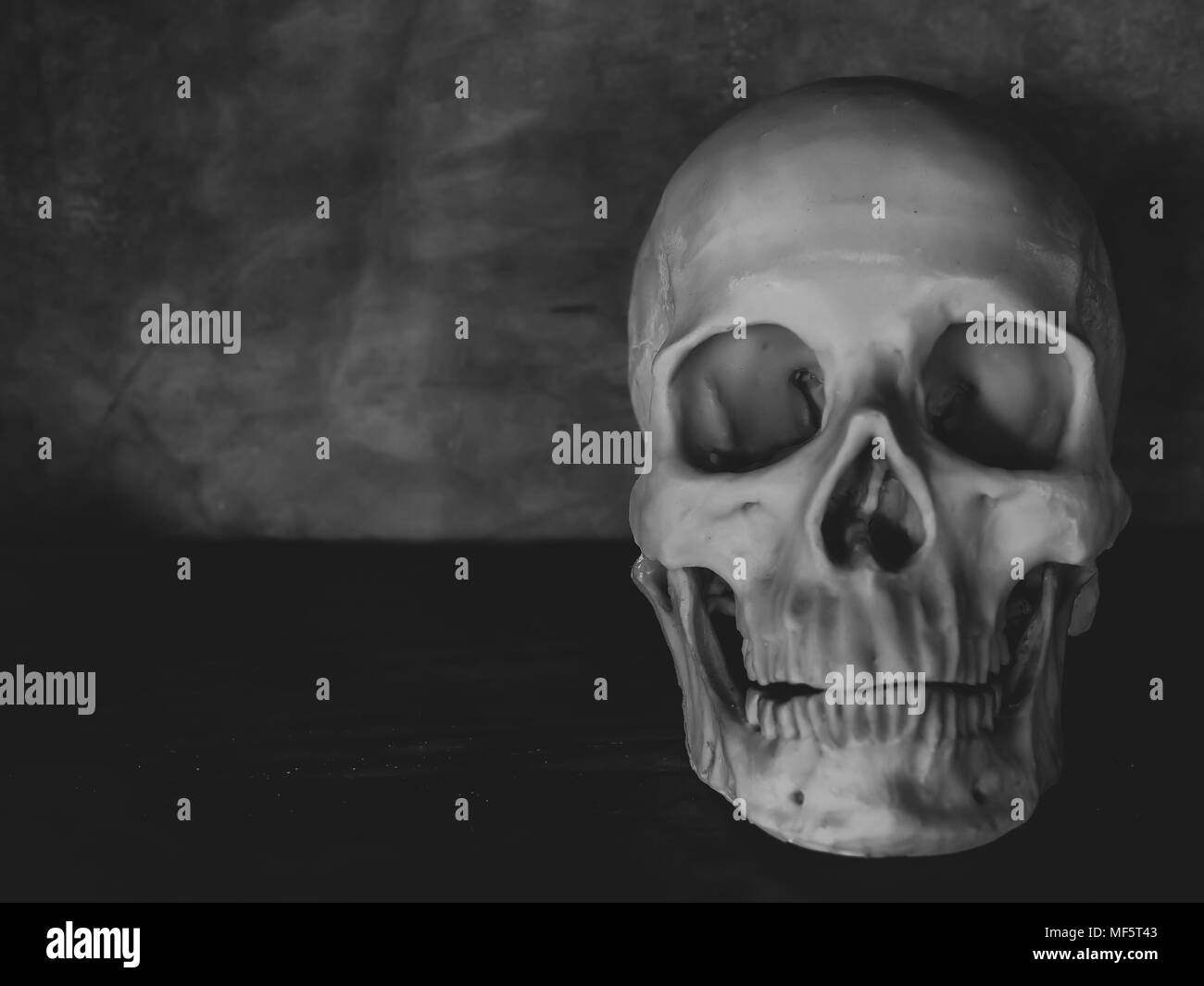 Front View of Human Skull on Wooden and Cement Background Horror Concept Stock Photo