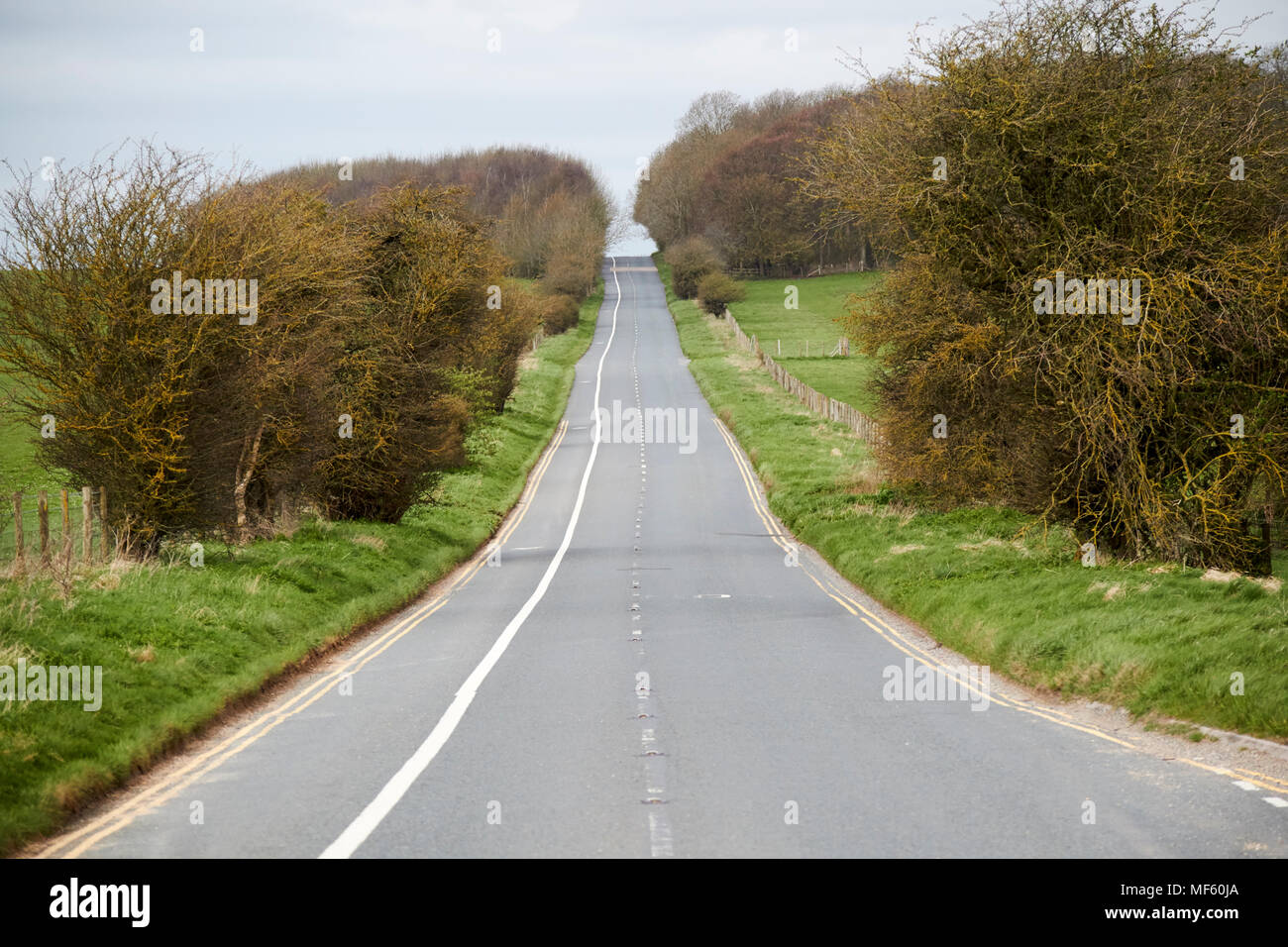 approach road between stonehenge visitors centre and the stones at Stonehenge wiltshire england uk Stock Photo