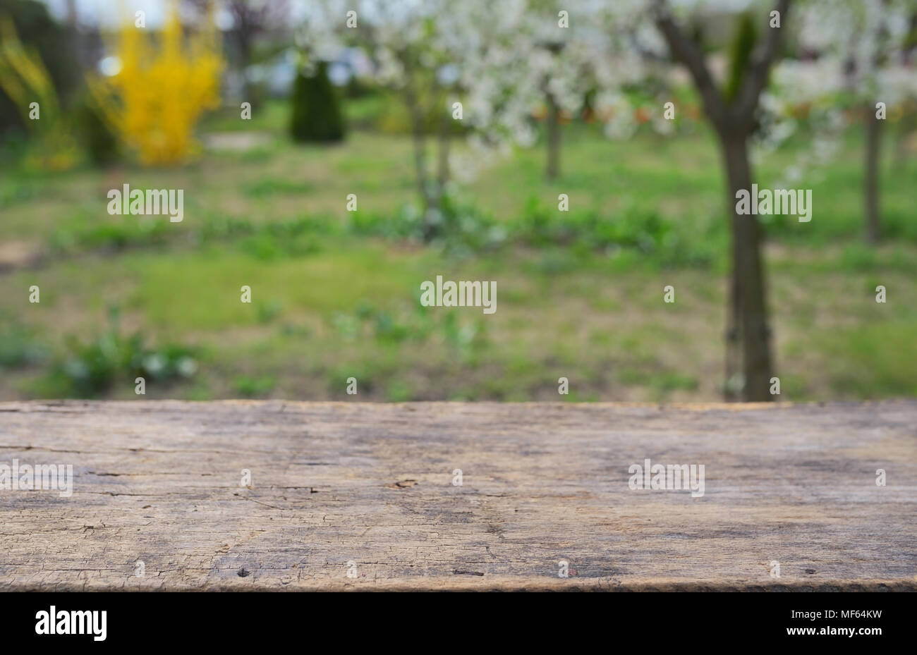 Empty wooden deck table in spring time Stock Photo