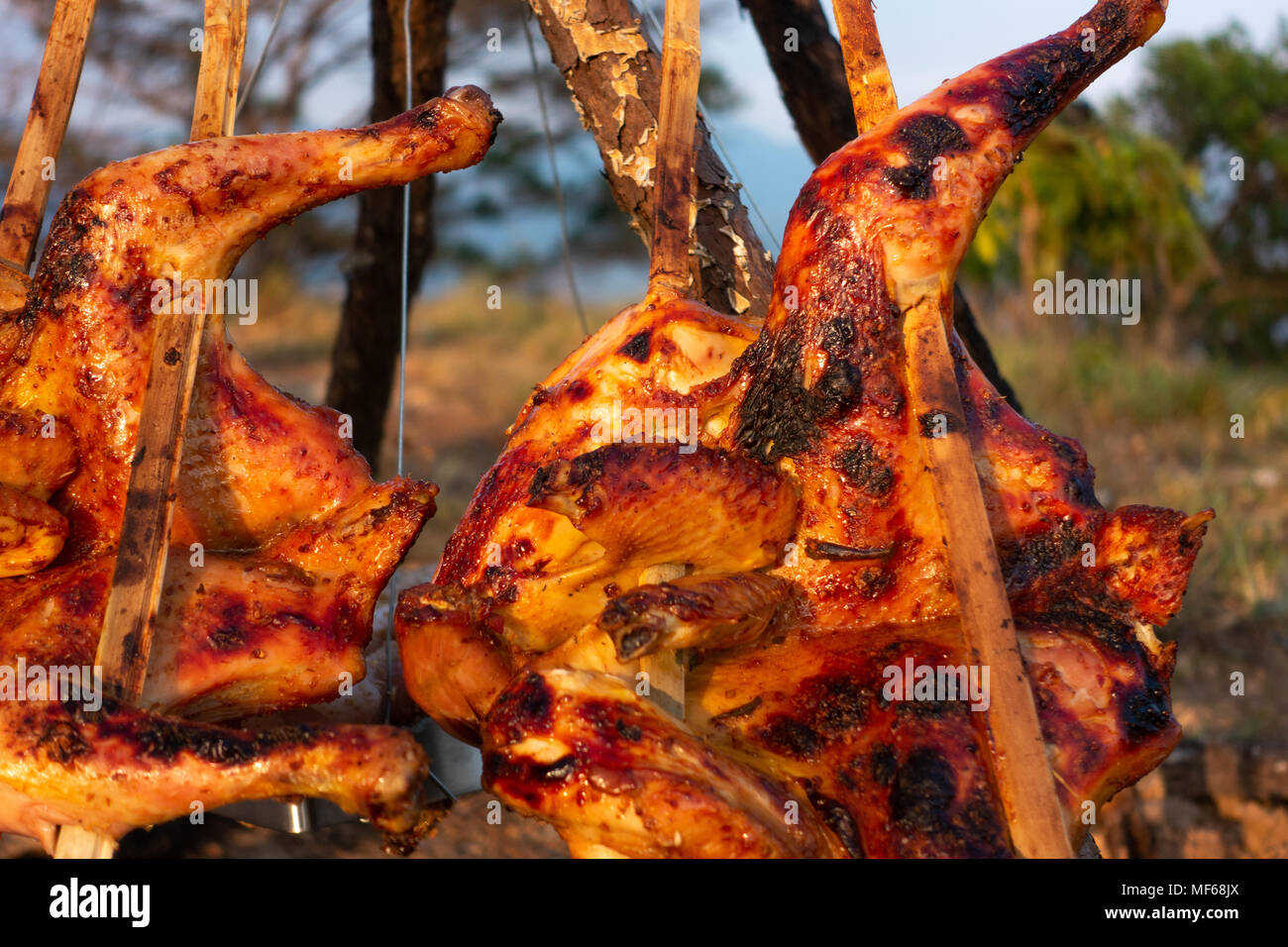 Barbecue chicken. Royalty high quality free stock image of bbq chicken