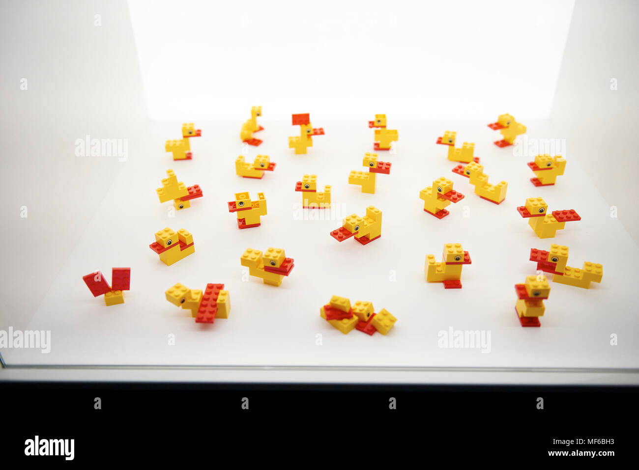 Lego Duck Challenge High Resolution Stock Photography and Images - Alamy