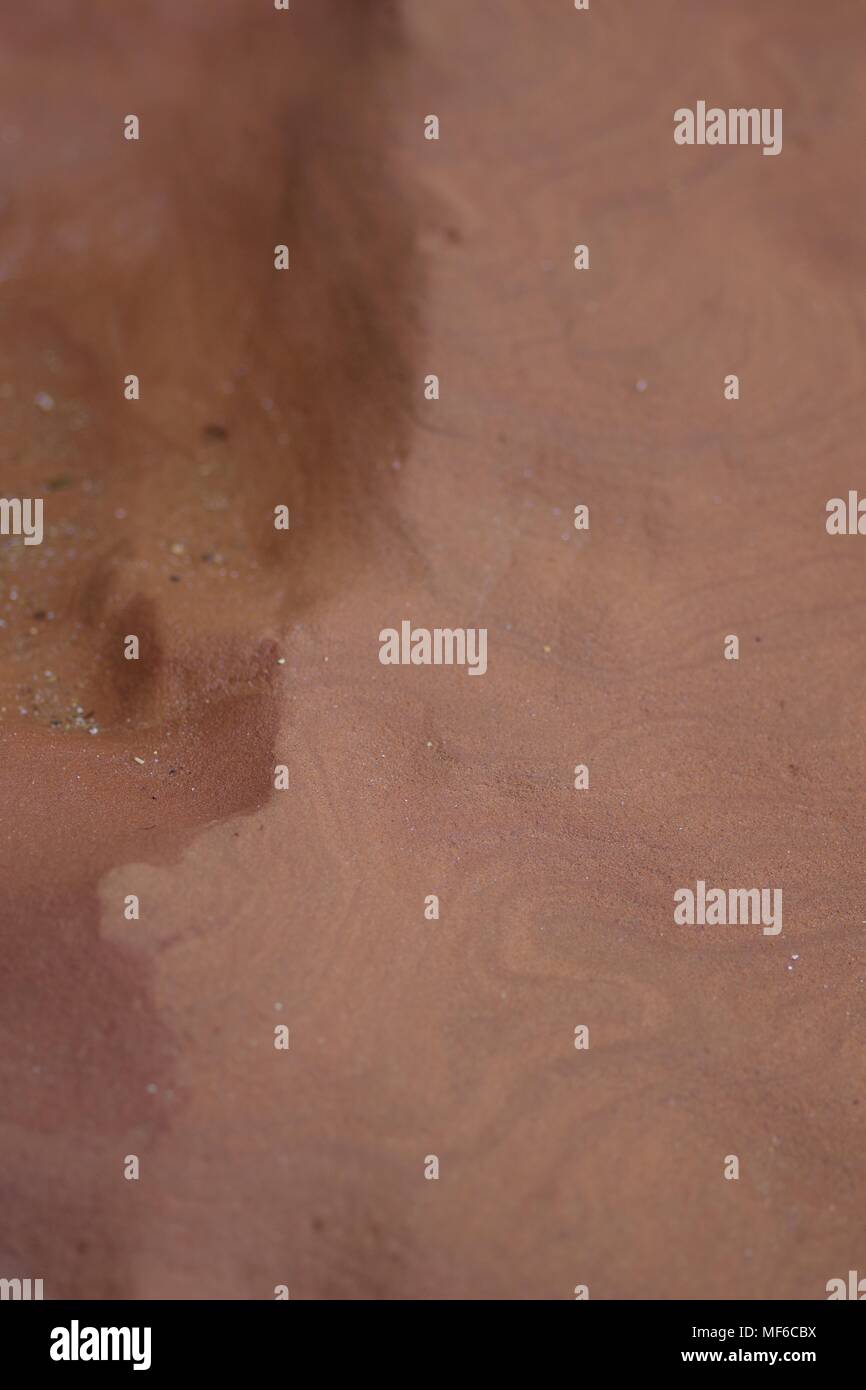 Intricate Convolute Bedding Pattern in Red Otter Sandstoe Formation