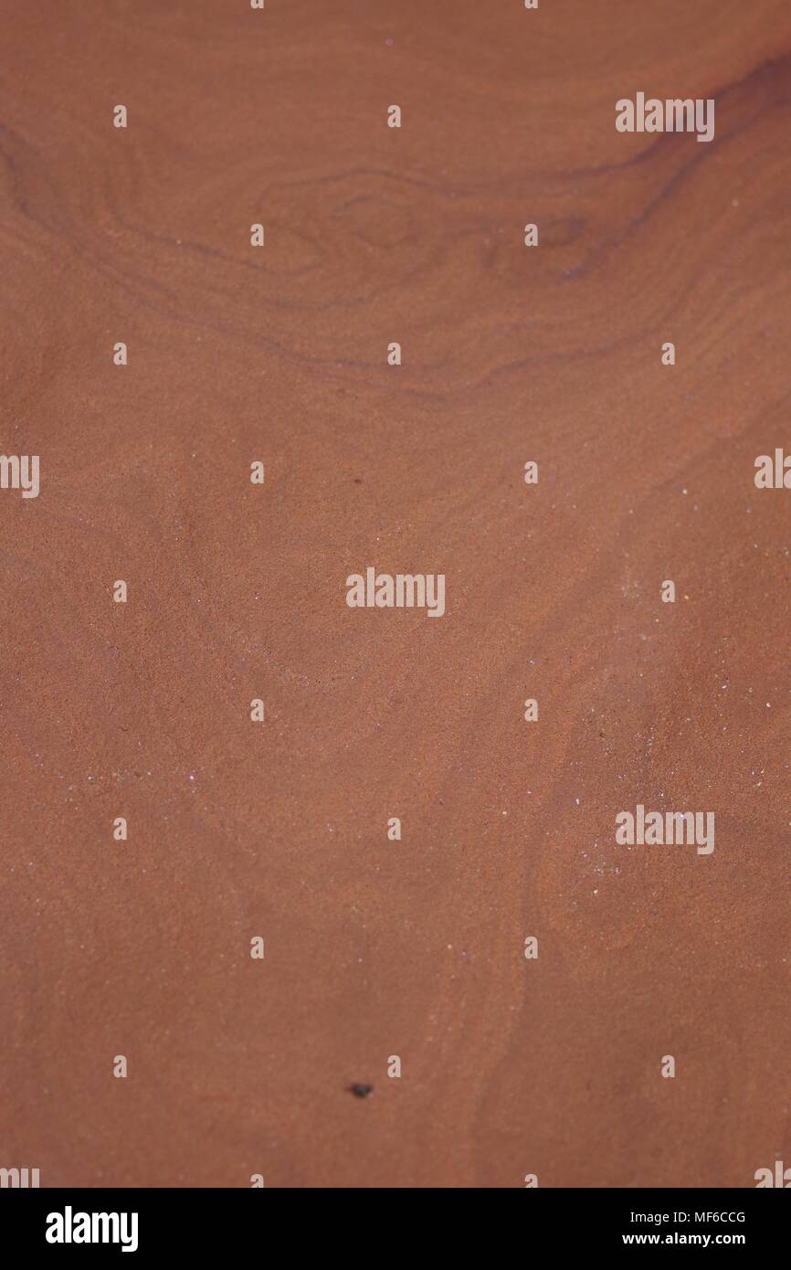 Intricate Convolute Bedding Pattern in Red Otter Sandstoe Formation