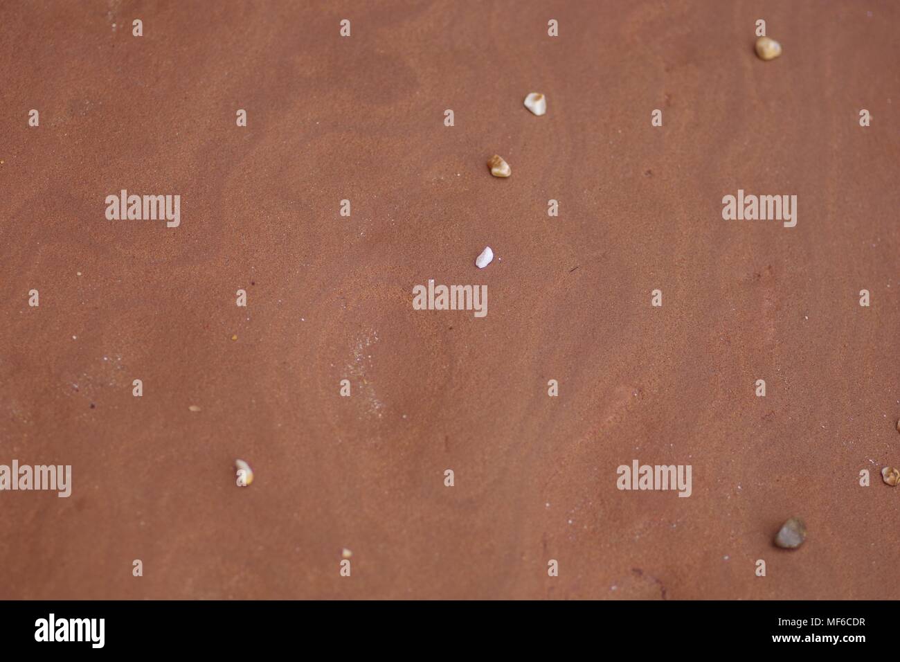 Convolute bedding hires stock photography and images Alamy