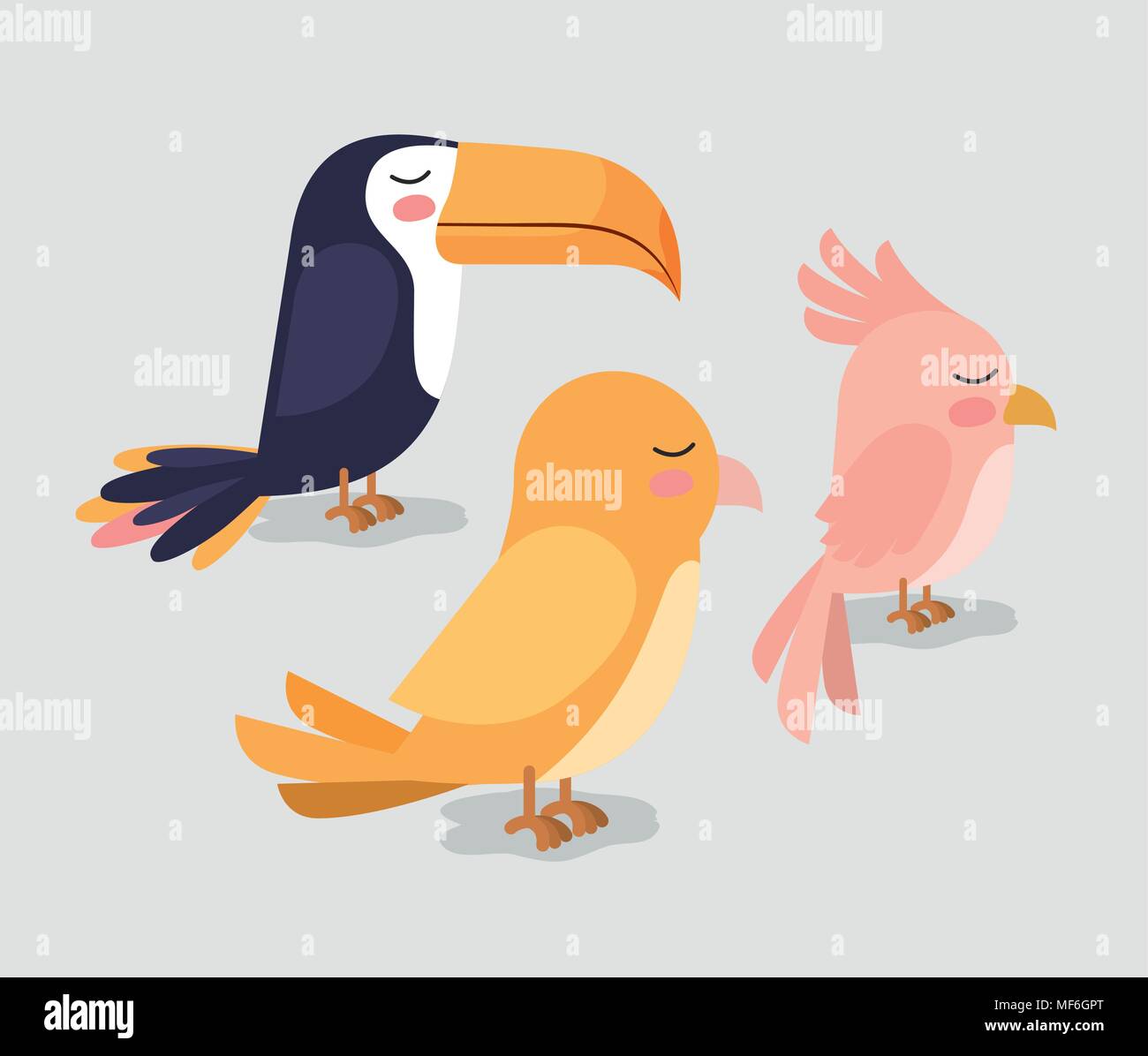 cute group birds animals vector illustration design Stock Vector Image ...