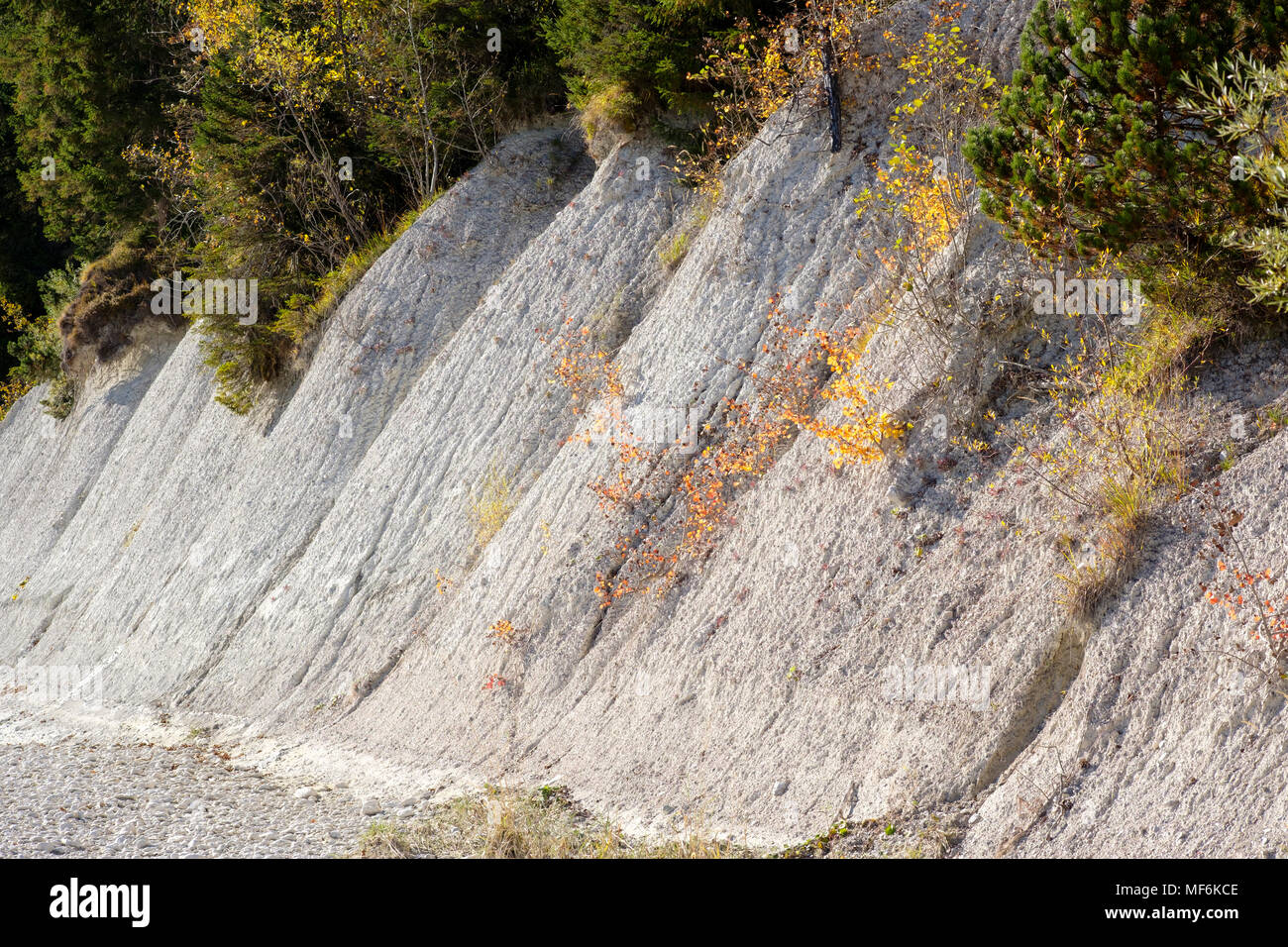 Nagelfluh or conglomerate on the banks of the Isar, Isartal in Wallgau, Werdenfels, Upper Bavaria, Bavaria, Germany Stock Photo
