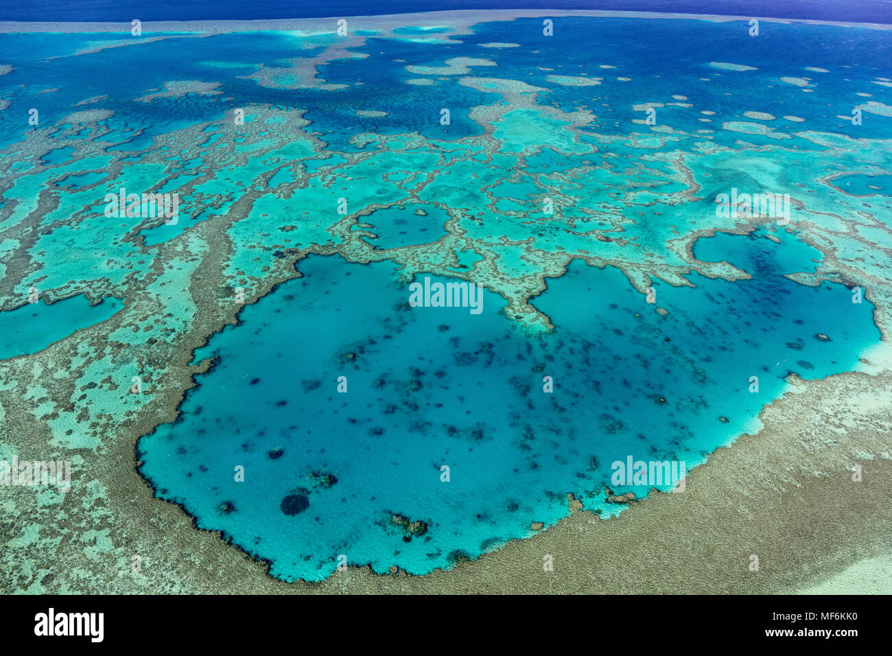 Structures in the Coral Reef, Outer Great Barrier Reef, Queensland, Australia Stock Photo