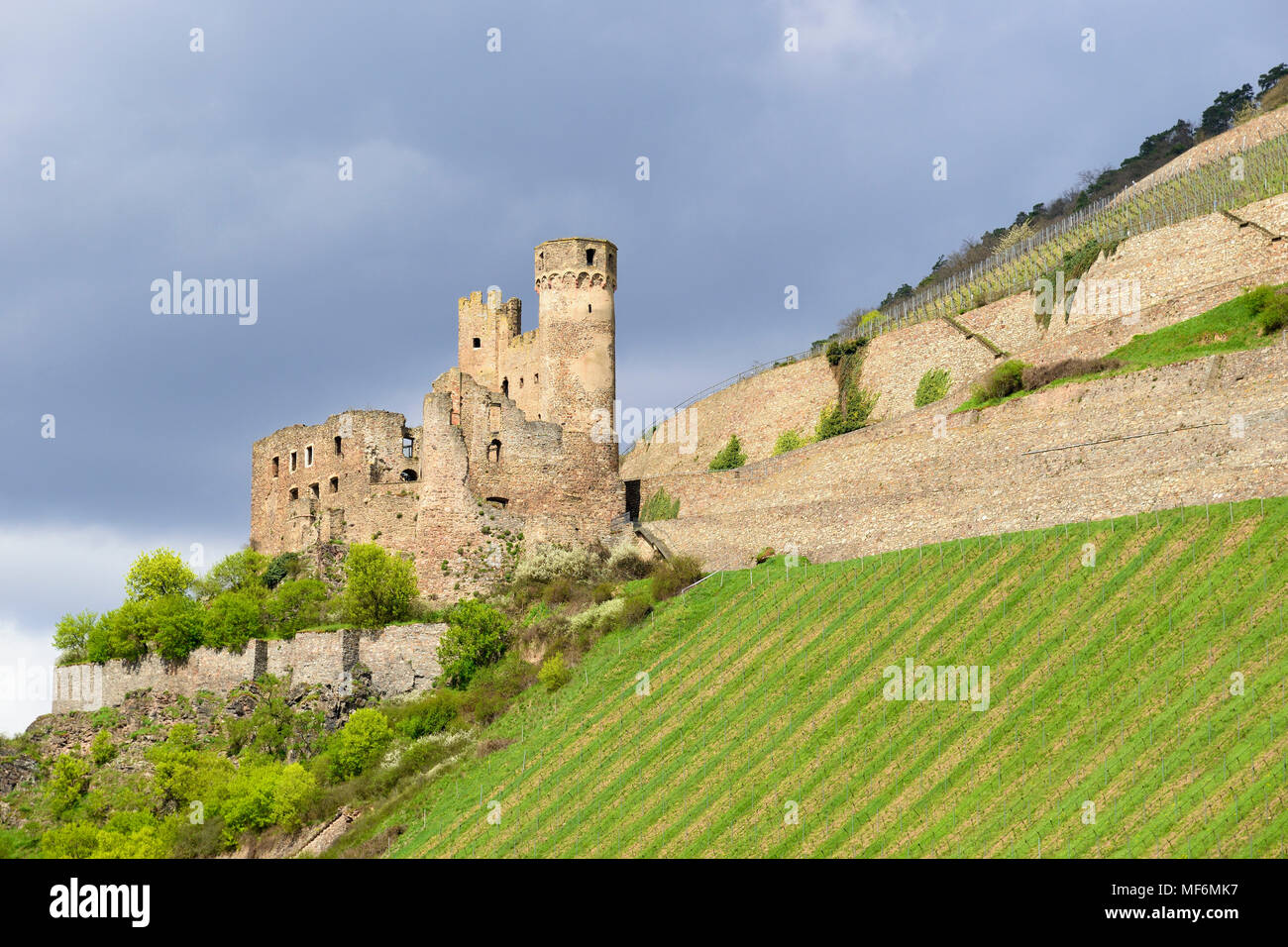 Nolin Rhein Nollig castle hi-res stock photography and images - Alamy