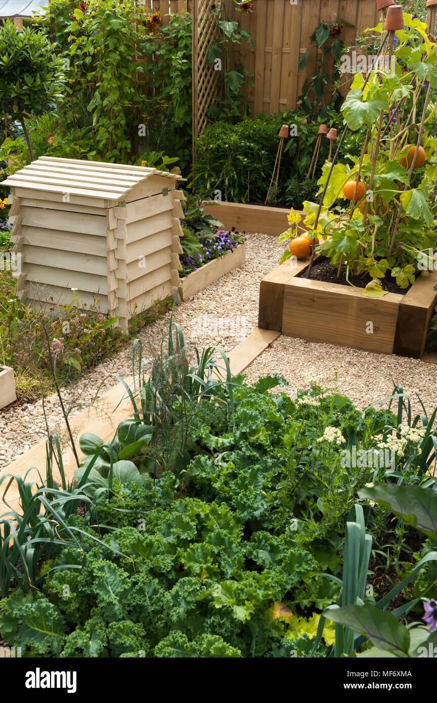 Growing vegetables in raised timber beds hires stock photography and
