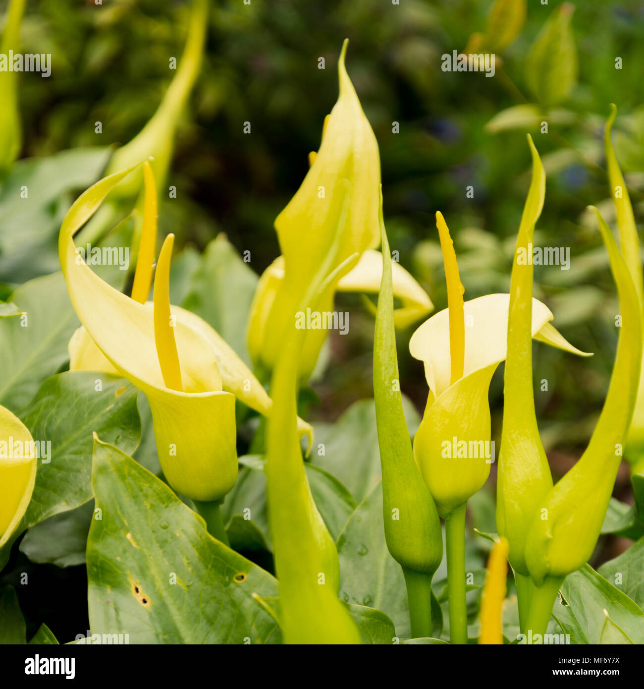 24 mega pixels hi-res stock photography and images - Alamy