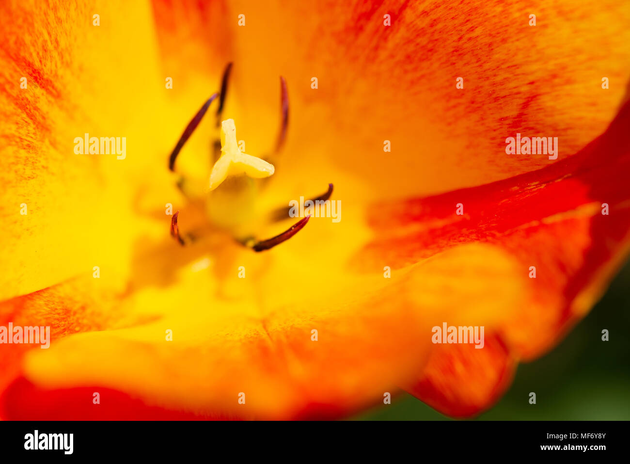 Key pixels hi-res stock photography and images - Alamy