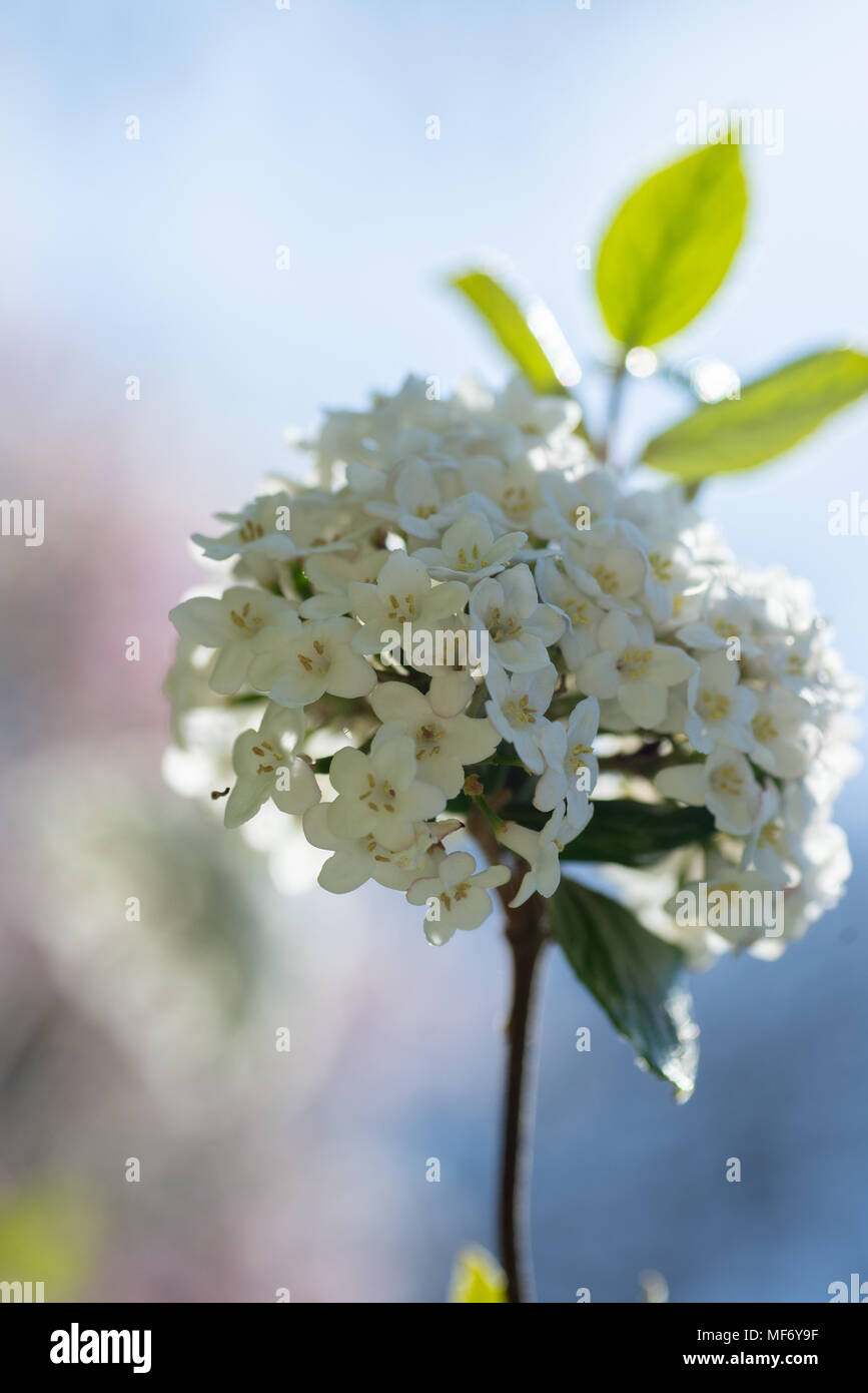 Key pixels hi-res stock photography and images - Alamy