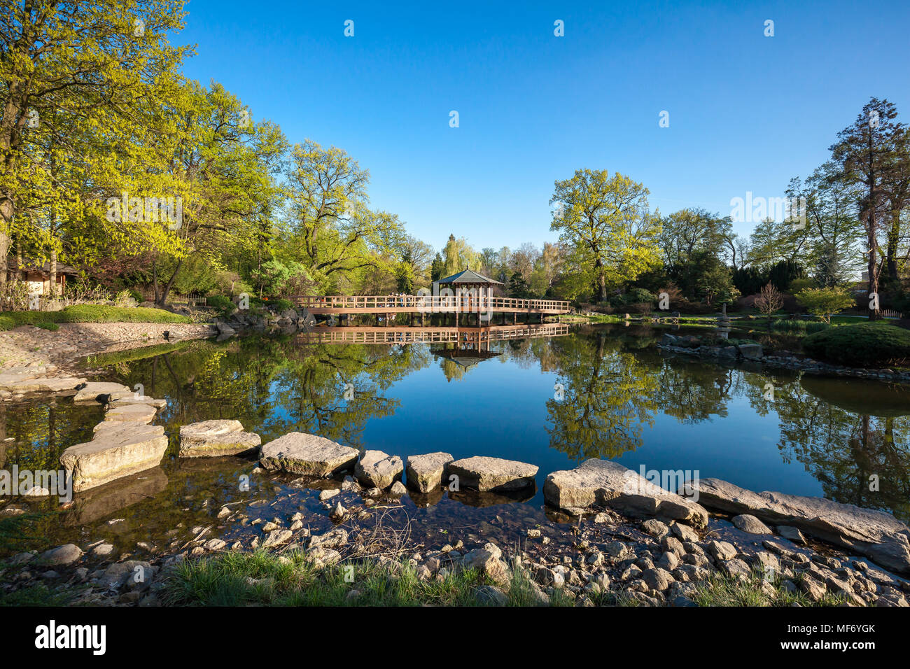 Green park Stock Photo