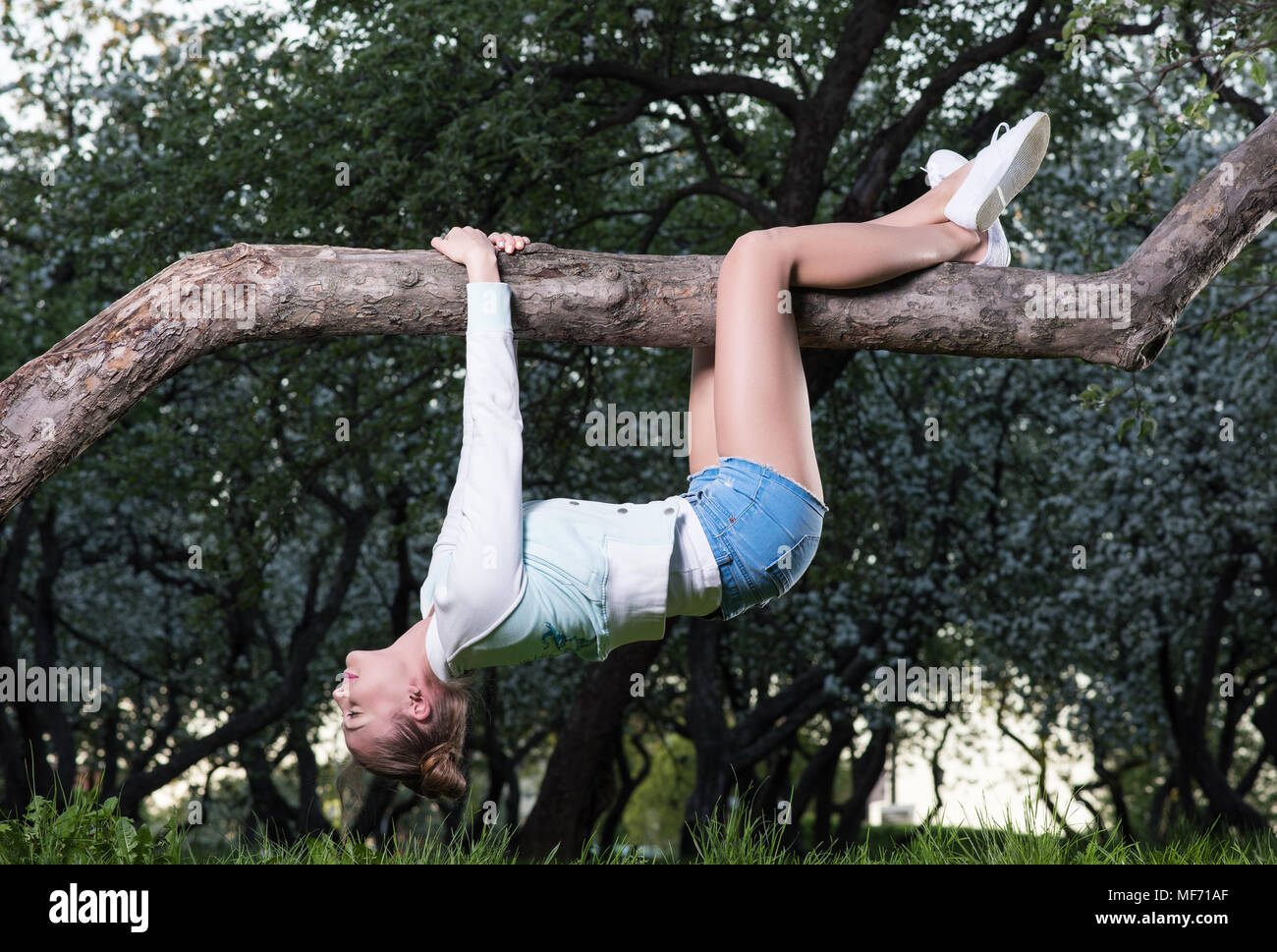 Young woman hanging upside down on tree branch. Blossoming trees in the background Stock Photo