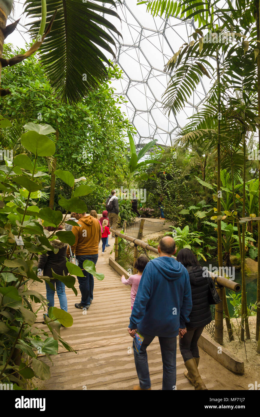 The Eden Project rainforest biome with families and visitors walking through the rainforest exhibit. Stock Photo