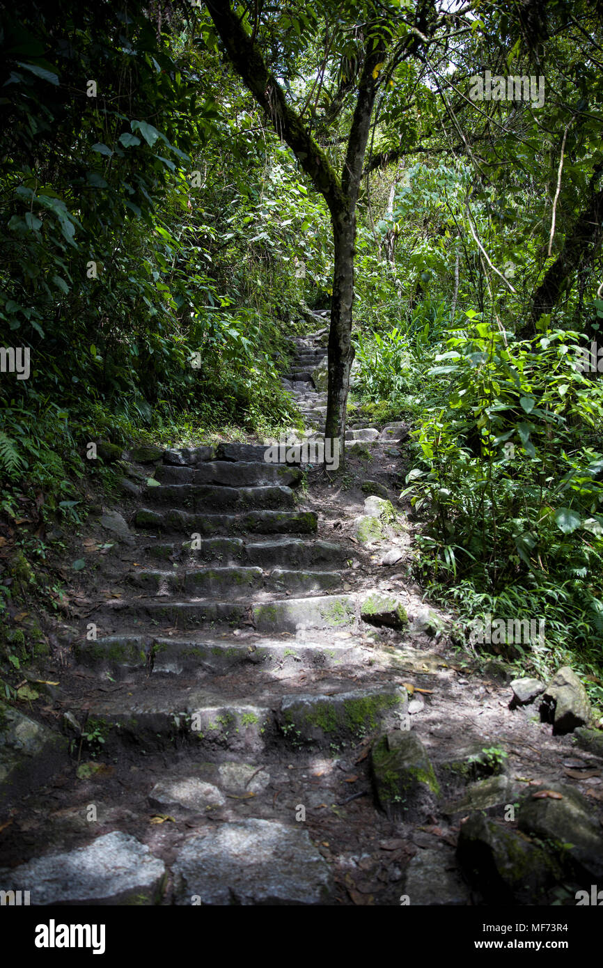 Detail of the Machu Picchu Inca citadel in Peru Stock Photo - Alamy