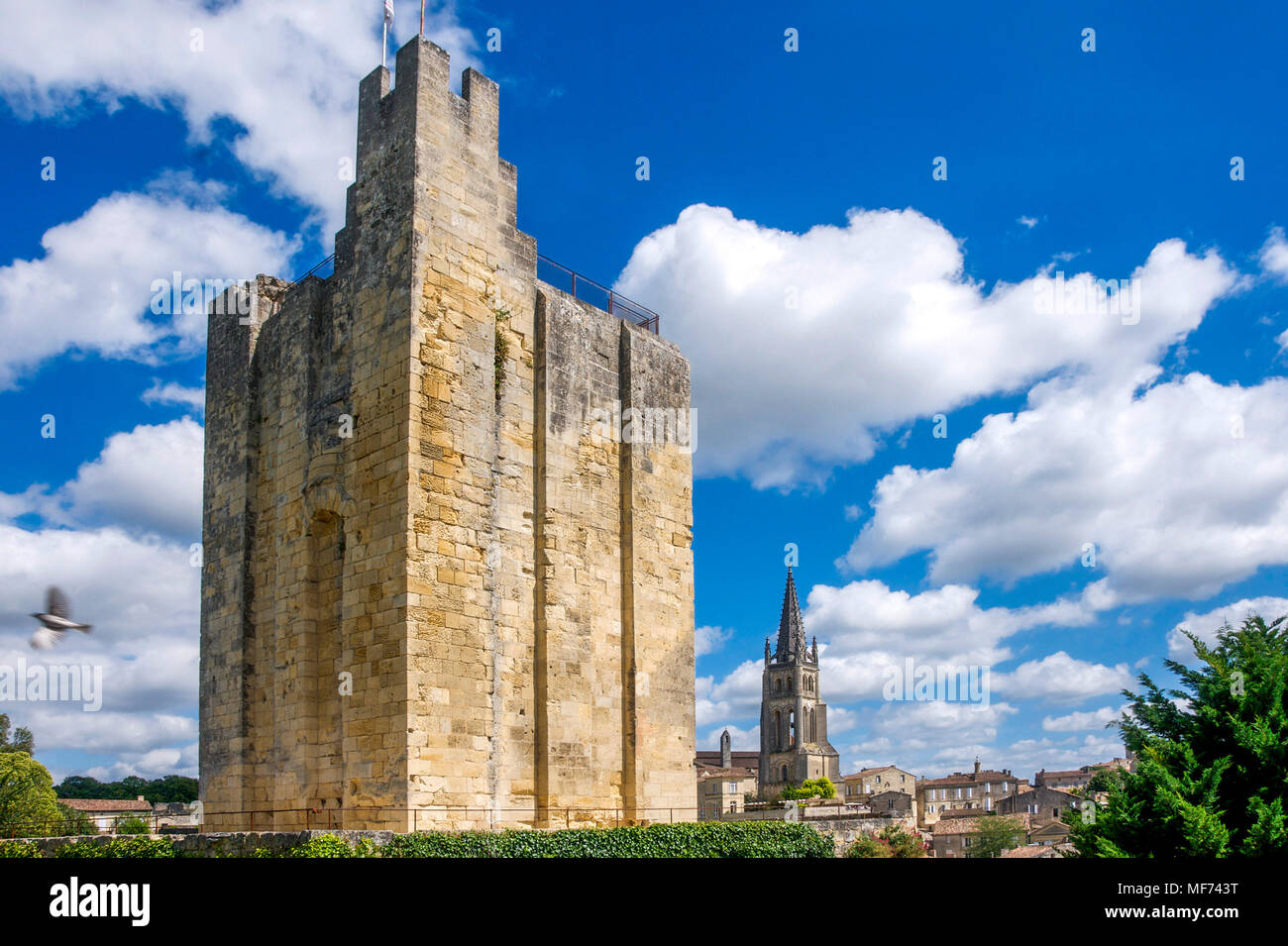Chateau du Roi, King's Castle, tower, donjon, Saint-Émilion, Gironde Bordeaux, France, Stock Photo