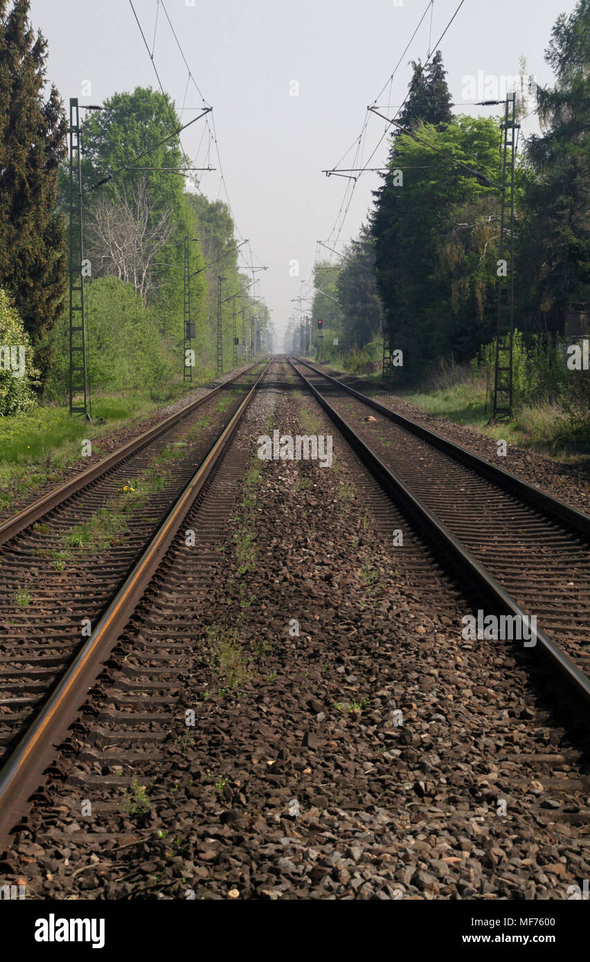 Rail tracks stretching to the horizon with trees on both sides Stock ...