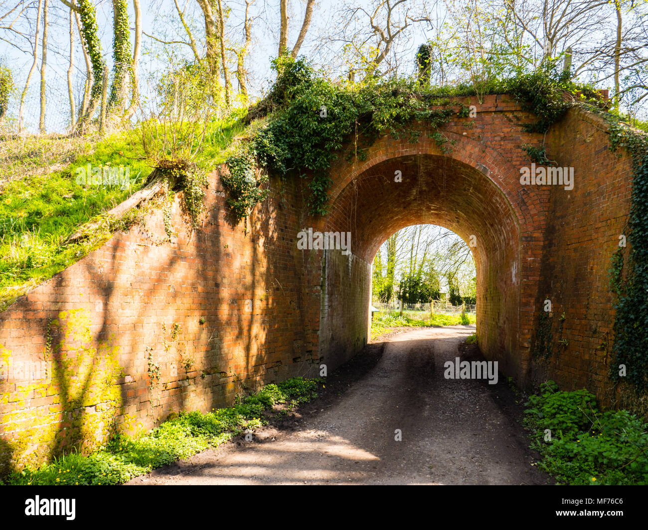 Speen Moors Walk, Old Railway Viaduct, Newbury, Berkshire, England, UK, GB. Stock Photo