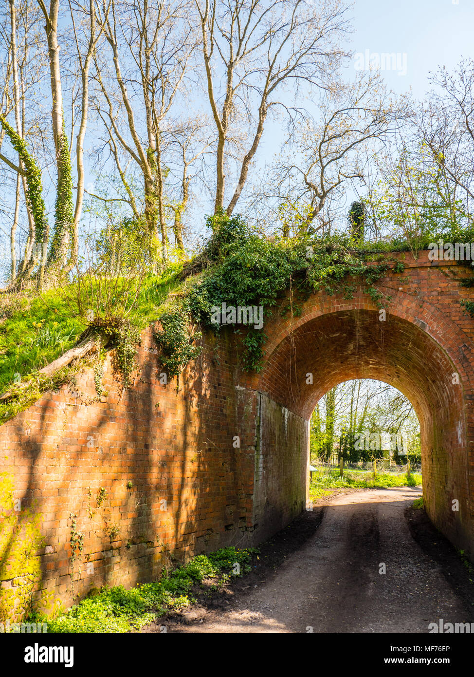 Speen Moors Walk, Old Railway Viaduct, Newbury, Berkshire, England, UK, GB. Stock Photo