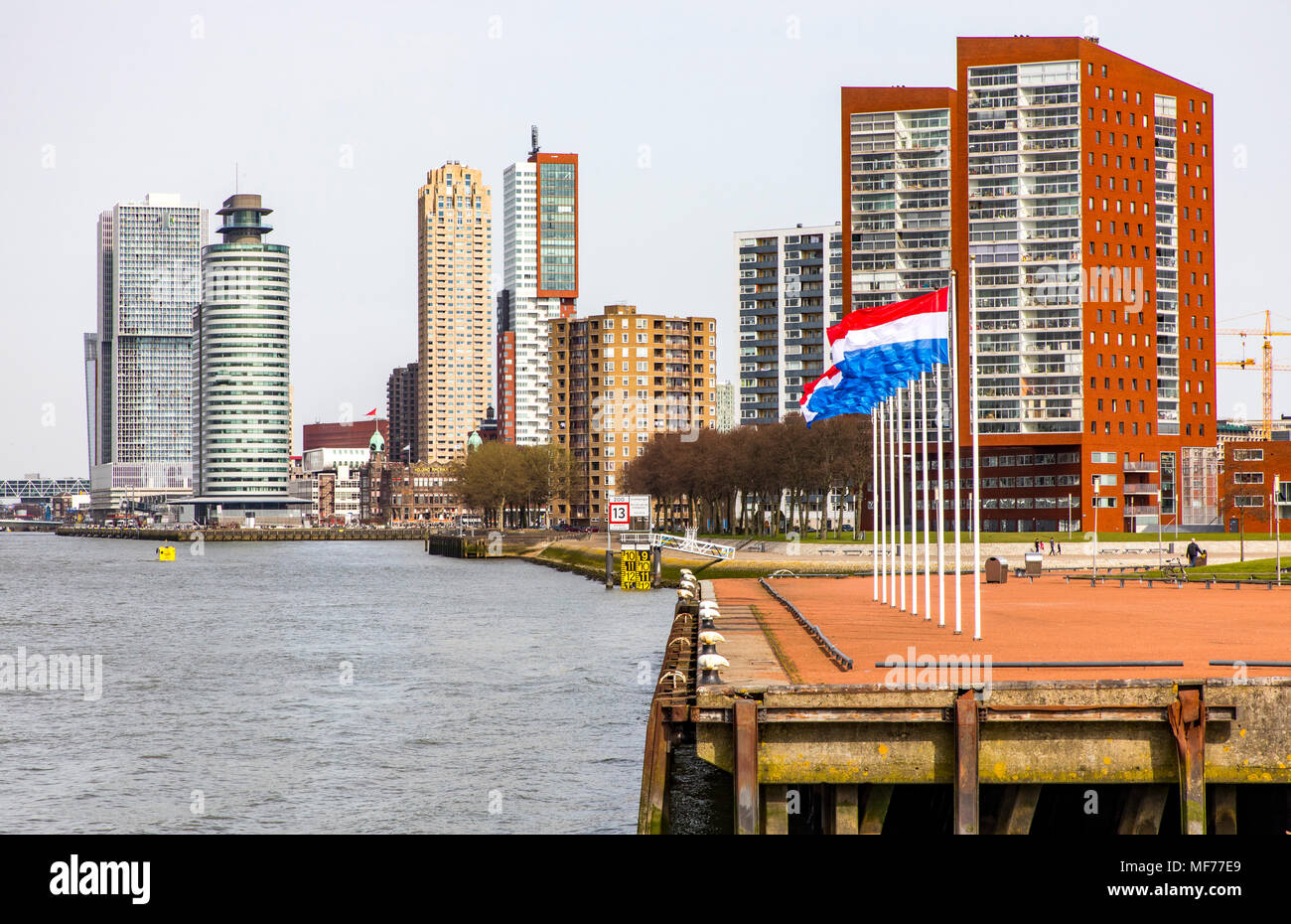 The skyline of Rotterdam, on the Nieuwe Maas, river, Erasmus Bridge, skyscrapers on the 'Kop van Zuid' district, the Netherlands, in the front park in Stock Photo
