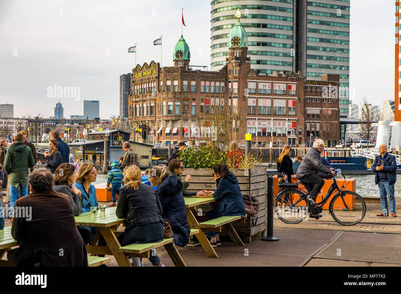 The Skyline Of Rotterdam On The Nieuwe Maas River