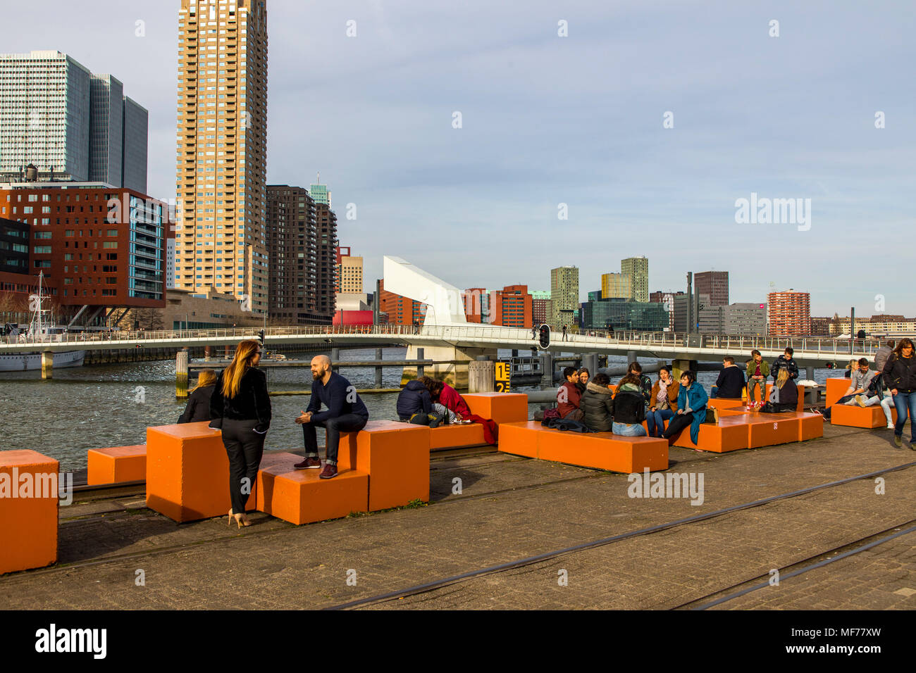 The Skyline Of Rotterdam On The Nieuwe Maas River
