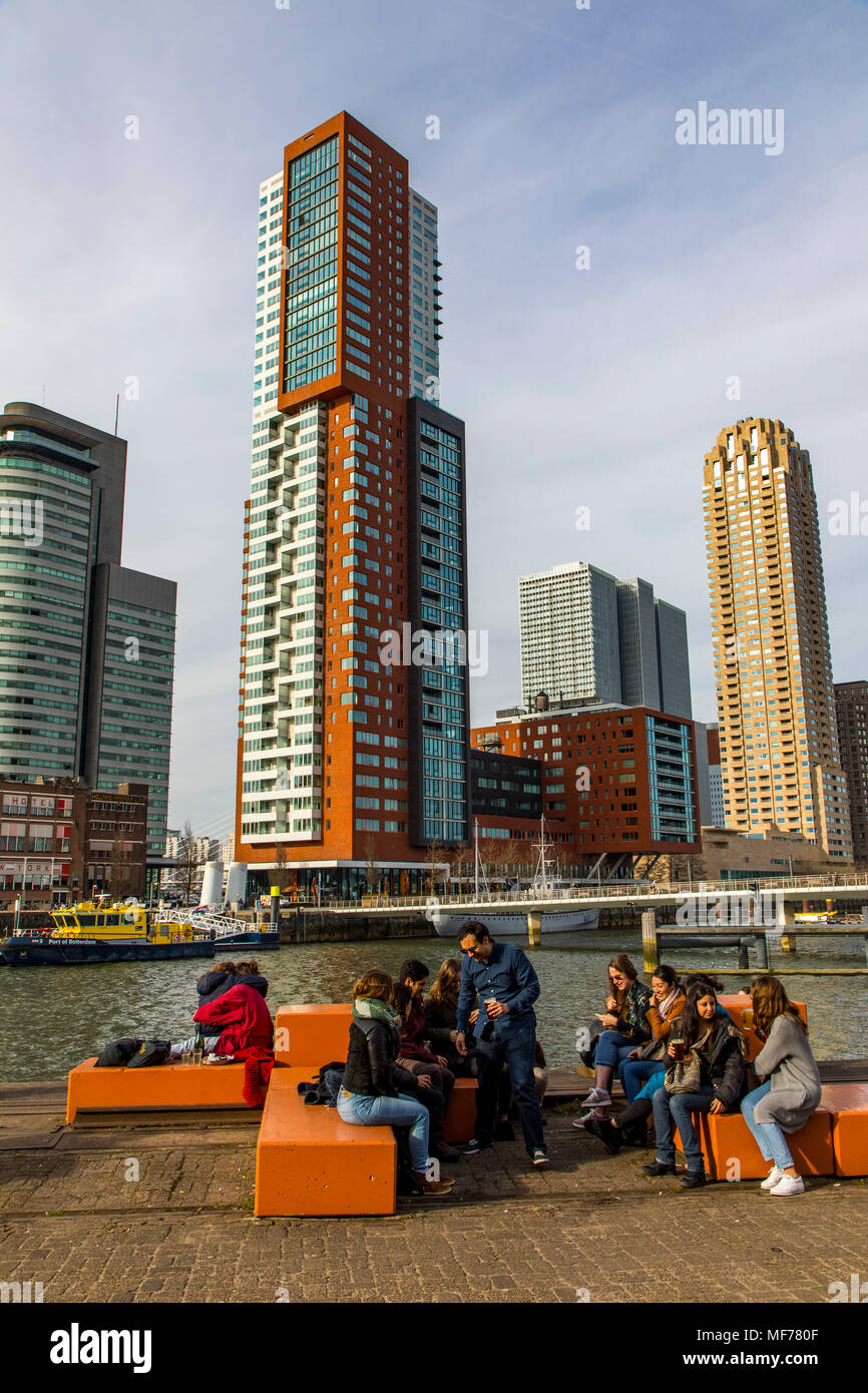 The Skyline Of Rotterdam On The Nieuwe Maas River