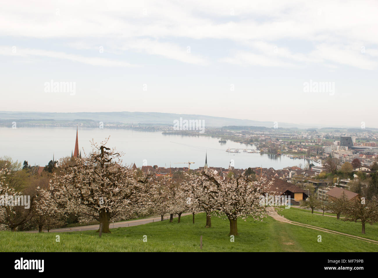 Landscape photograph of small city Zug near lake in morning in
